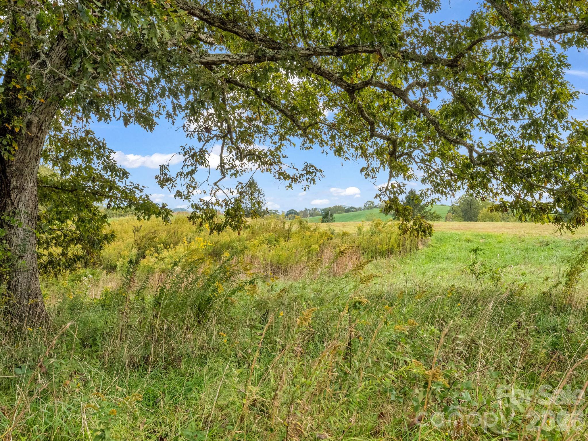 Mills River, North Carolina, 28759, United States, ,Land,For Sale,1975215