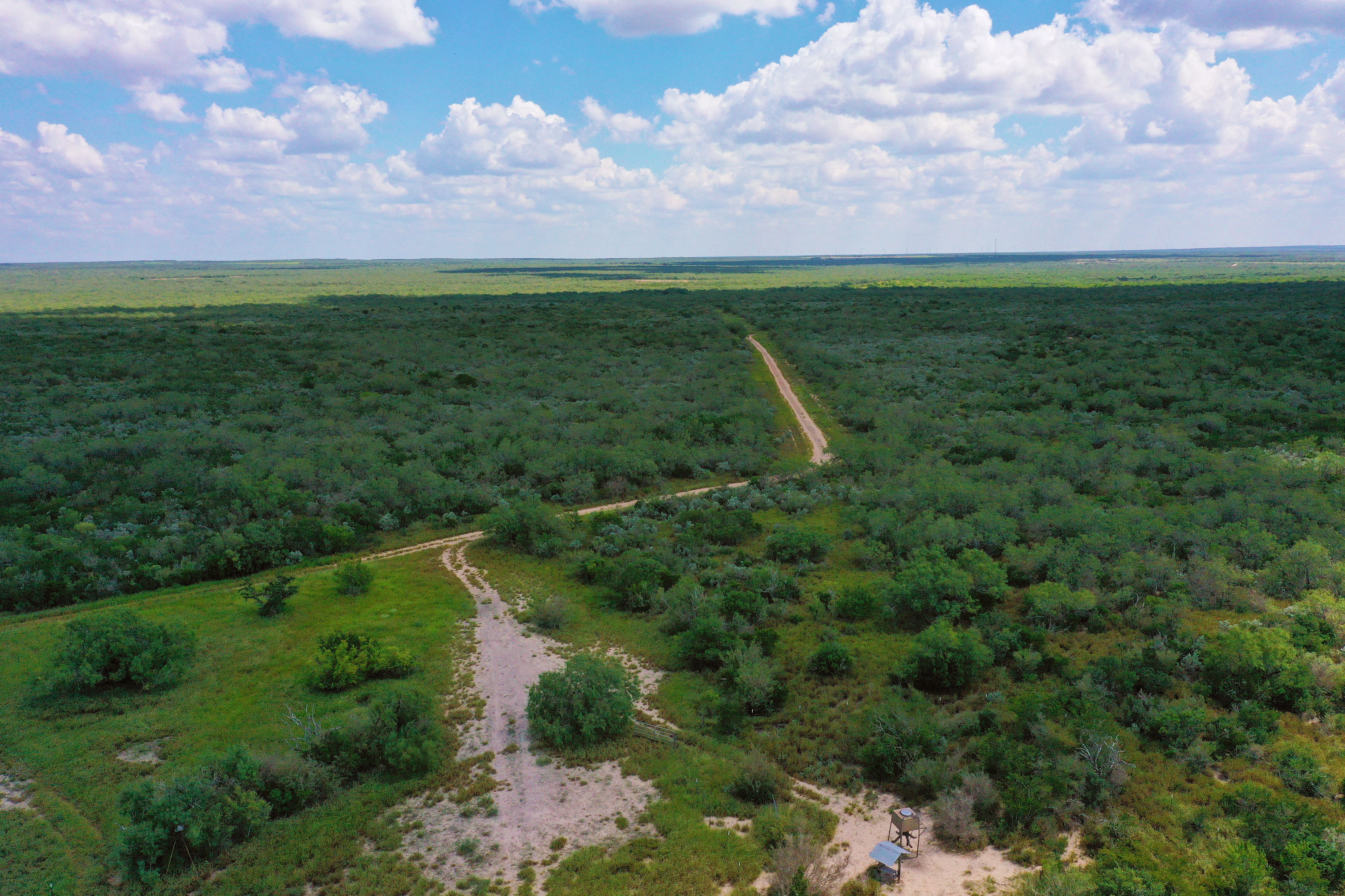  Historic El Tecomate Hunting Ranch - 物件實景