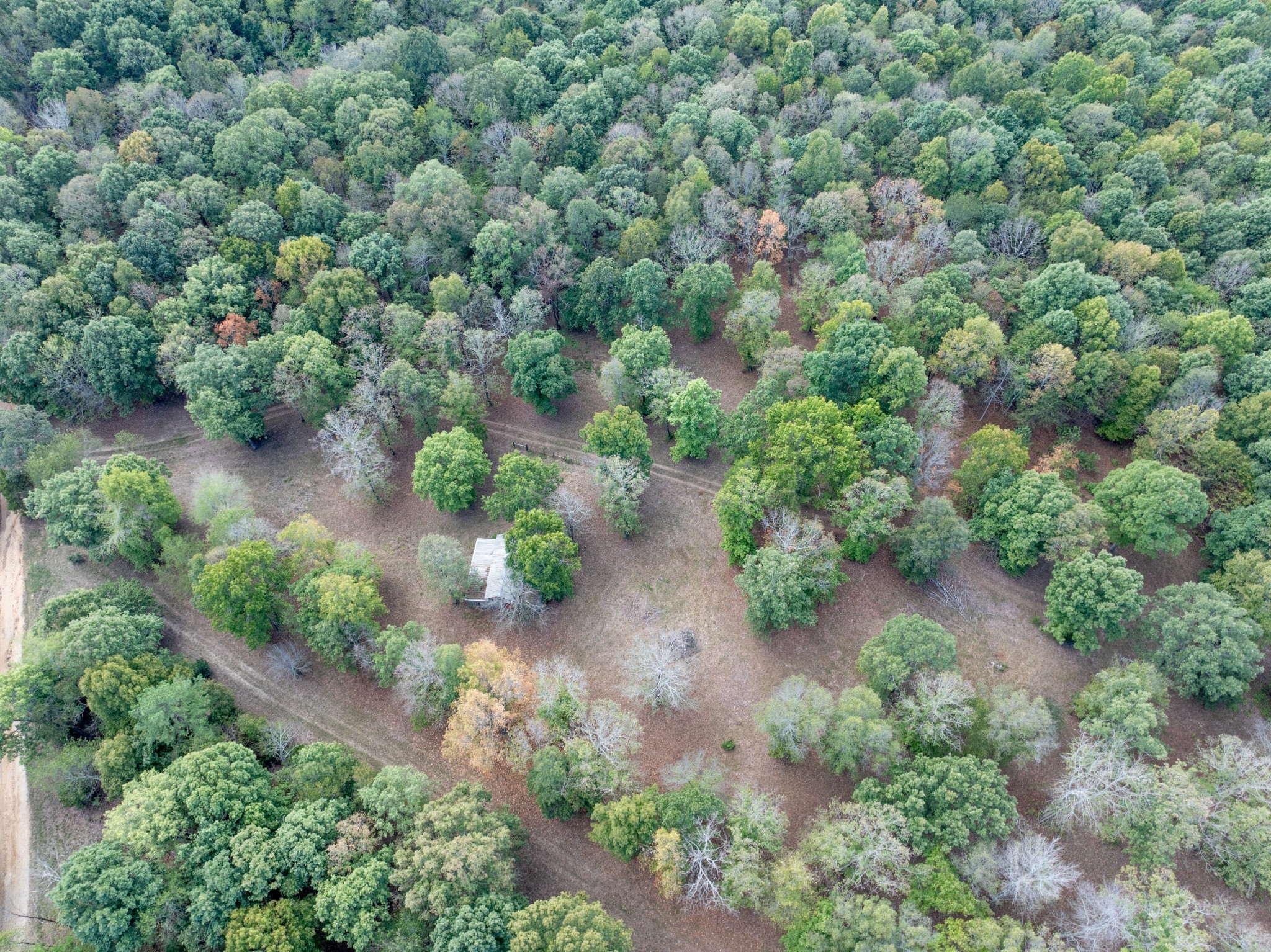 Mc Ewen, Tennessee, 37101, United States, ,Residential,For Sale,1923664
