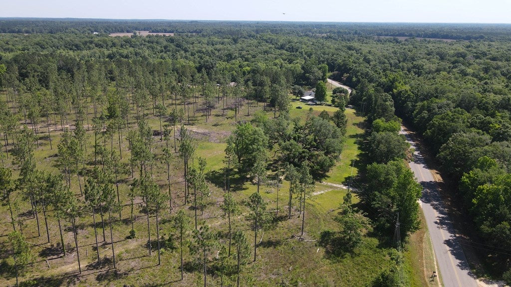 Cottonwood, Alabama, 36320, United States, ,Land,For Sale,1840022