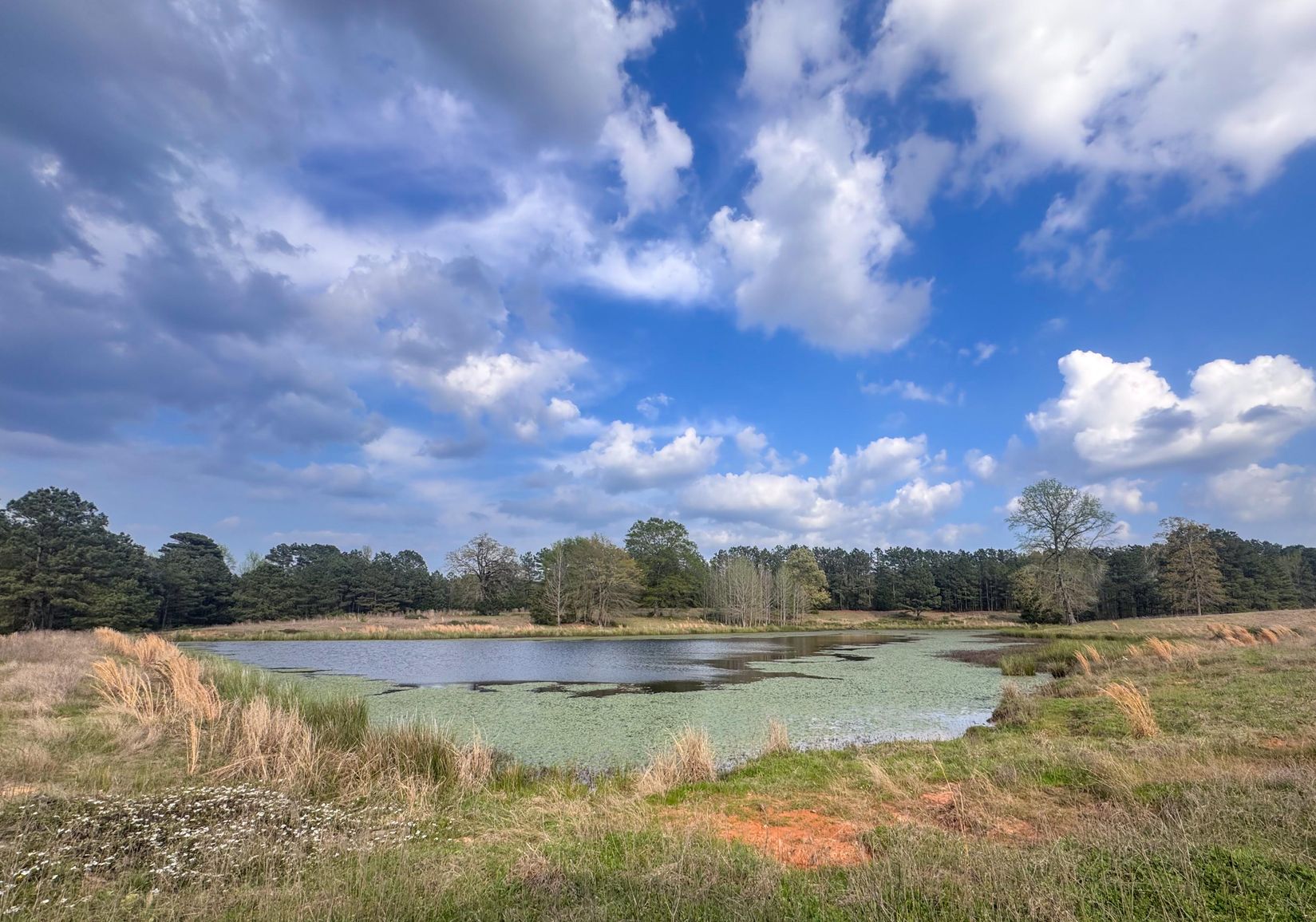 Bivins, Texas, 75555, United States, ,Residential,For Sale,1755933