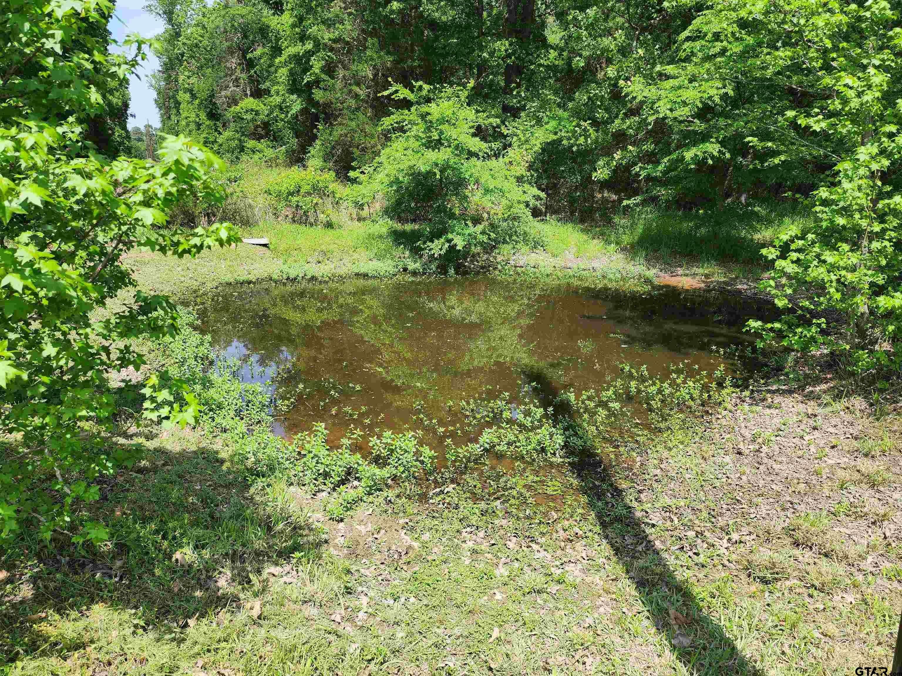 Pittsburg, Texas, 75686, United States, 4 Bedrooms Bedrooms, ,3 BathroomsBathrooms,Residential,For Sale,1943296