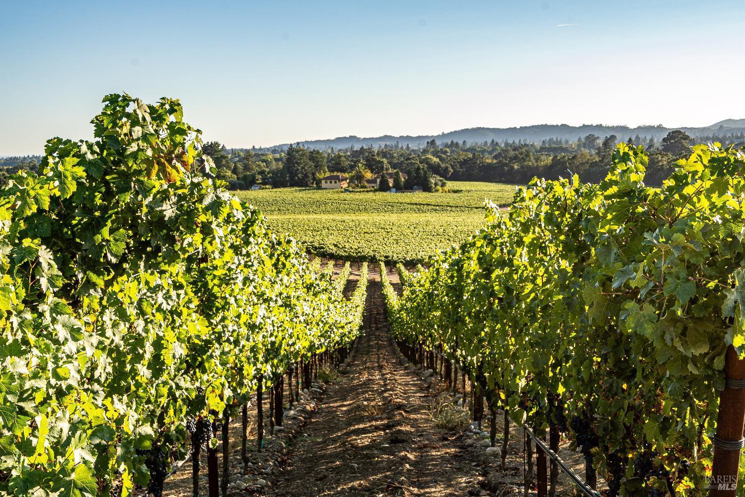Napa, California, 94558, United States, 4 Bedrooms Bedrooms, ,6 BathroomsBathrooms,Residential,For Sale,1847246