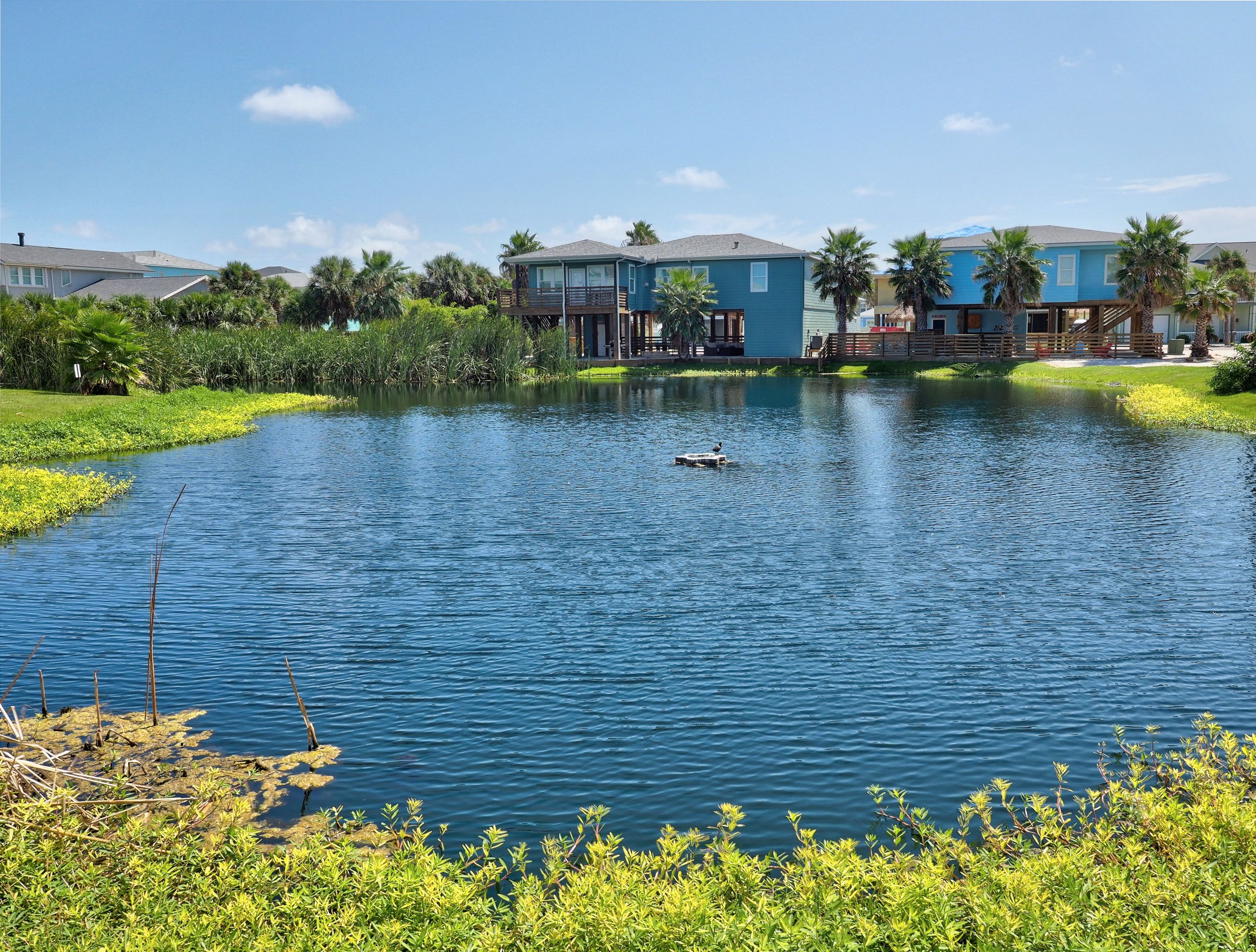  Ocean Village Condo - 物件實景