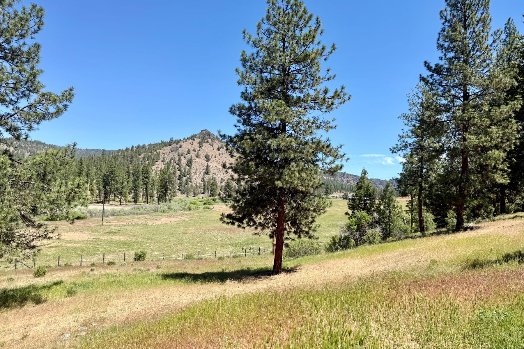  5920 NE Cerysa Lane Prineville, OR 97754 - 物件實景