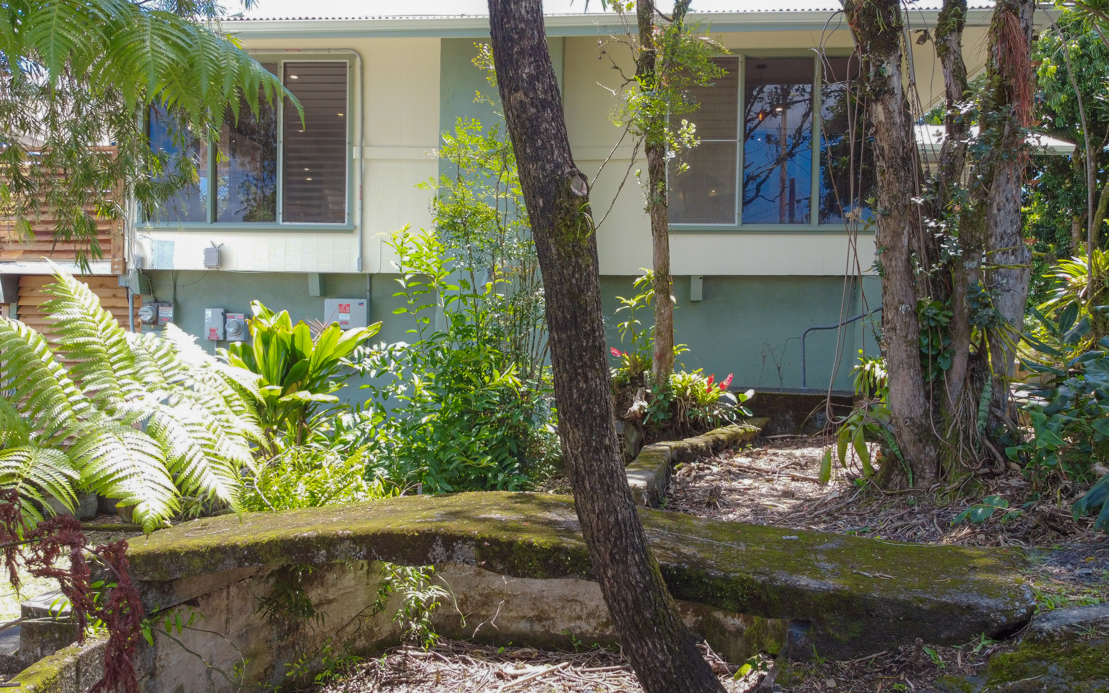  107 Kaikuono Street, Hilo, HI 96720 - 物件實景