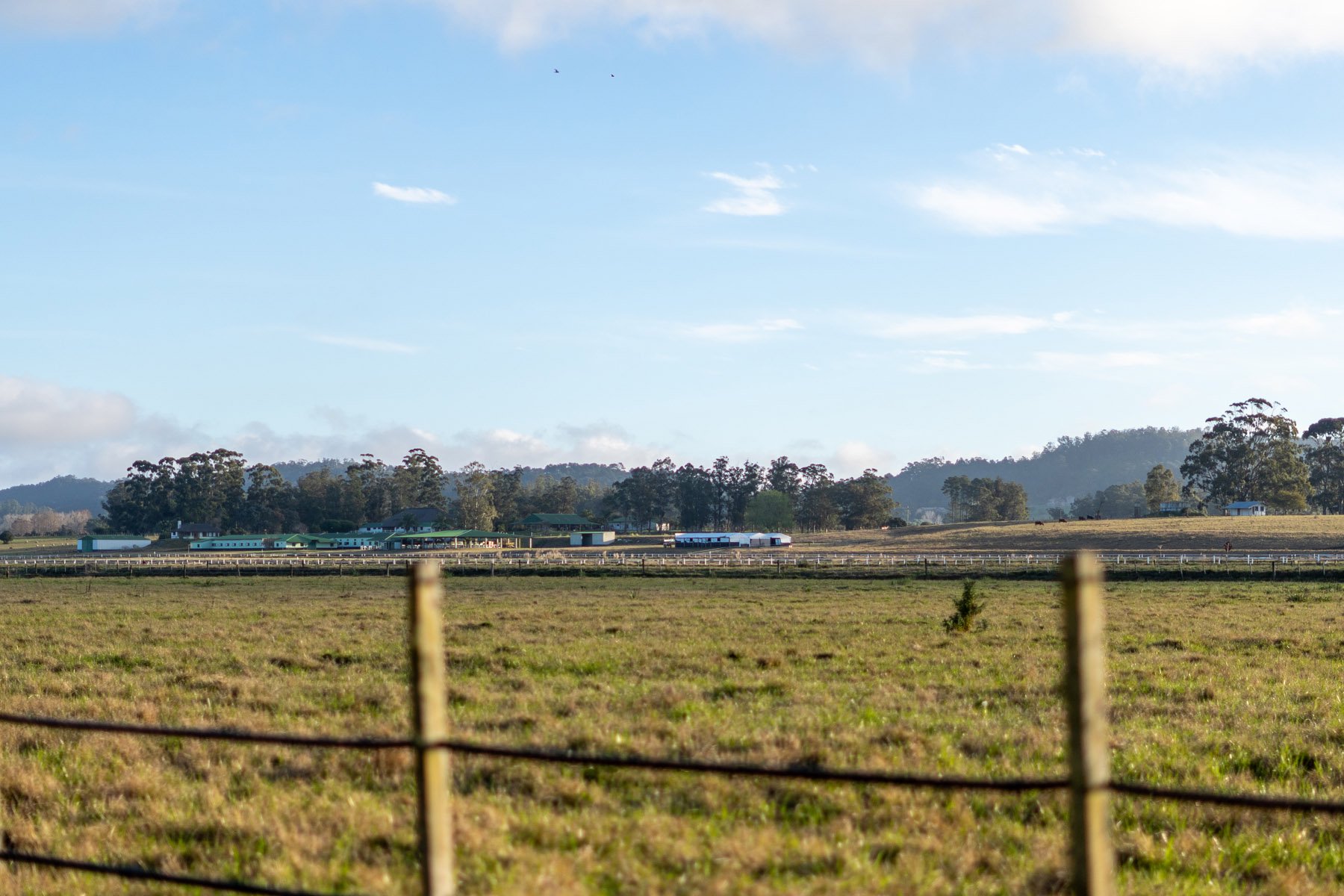  NAHUEL Stud Farm - 物件實景