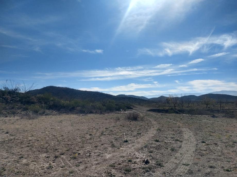 KM 3 CARRETERA PARRAS A GENERAL CEPEDA, Parras, Coahuila de Zaragoza, 27987, Mexico, 1 Bedroom Bedrooms, ,Residential,For Sale,KM 3 CARRETERA PARRAS A GENERAL CEPEDA,1472261