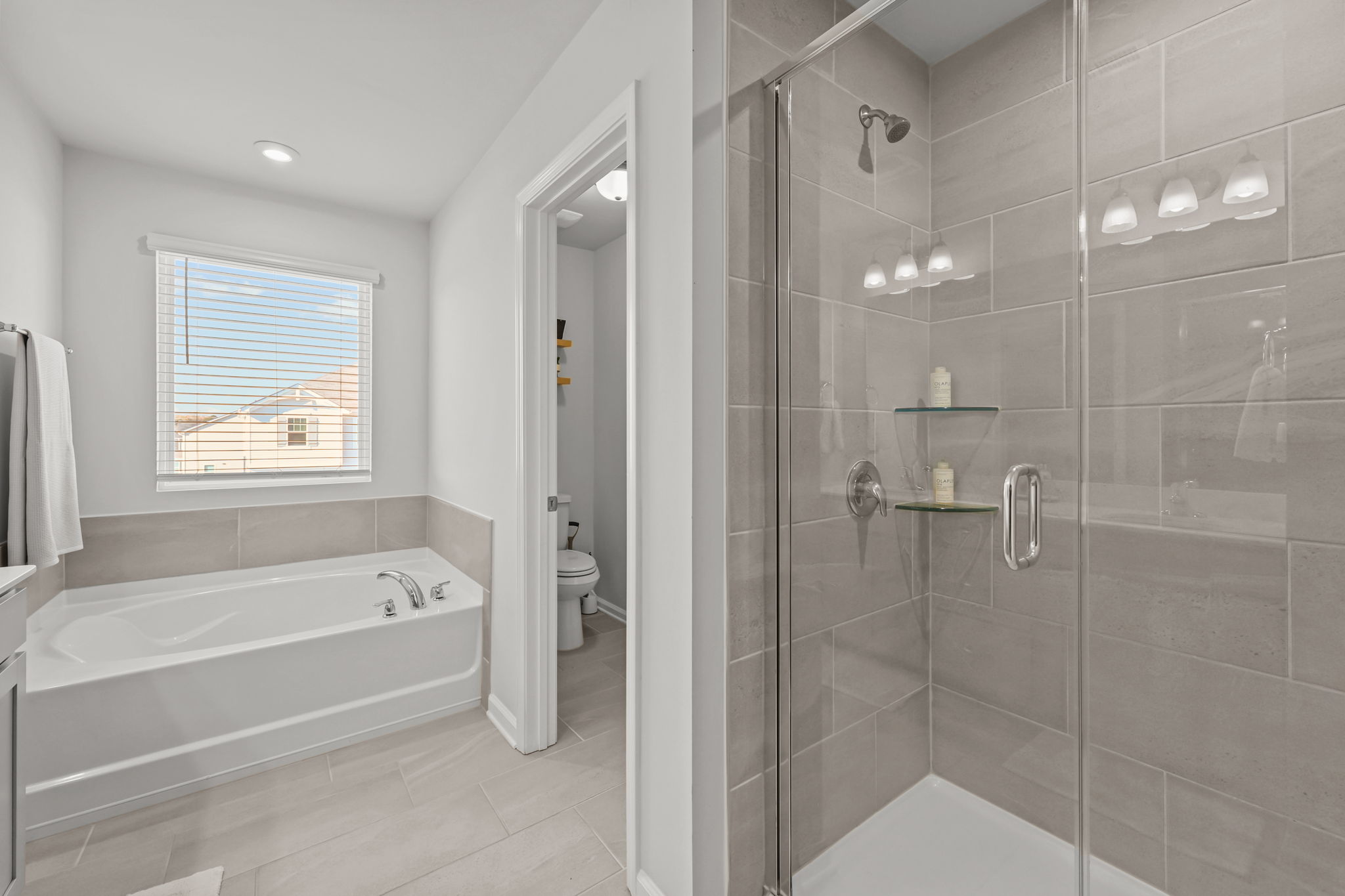 Charlotte, North Carolina, 28269, United States, 5 Bedrooms Bedrooms, ,3 BathroomsBathrooms,Residential,For Sale,1993856