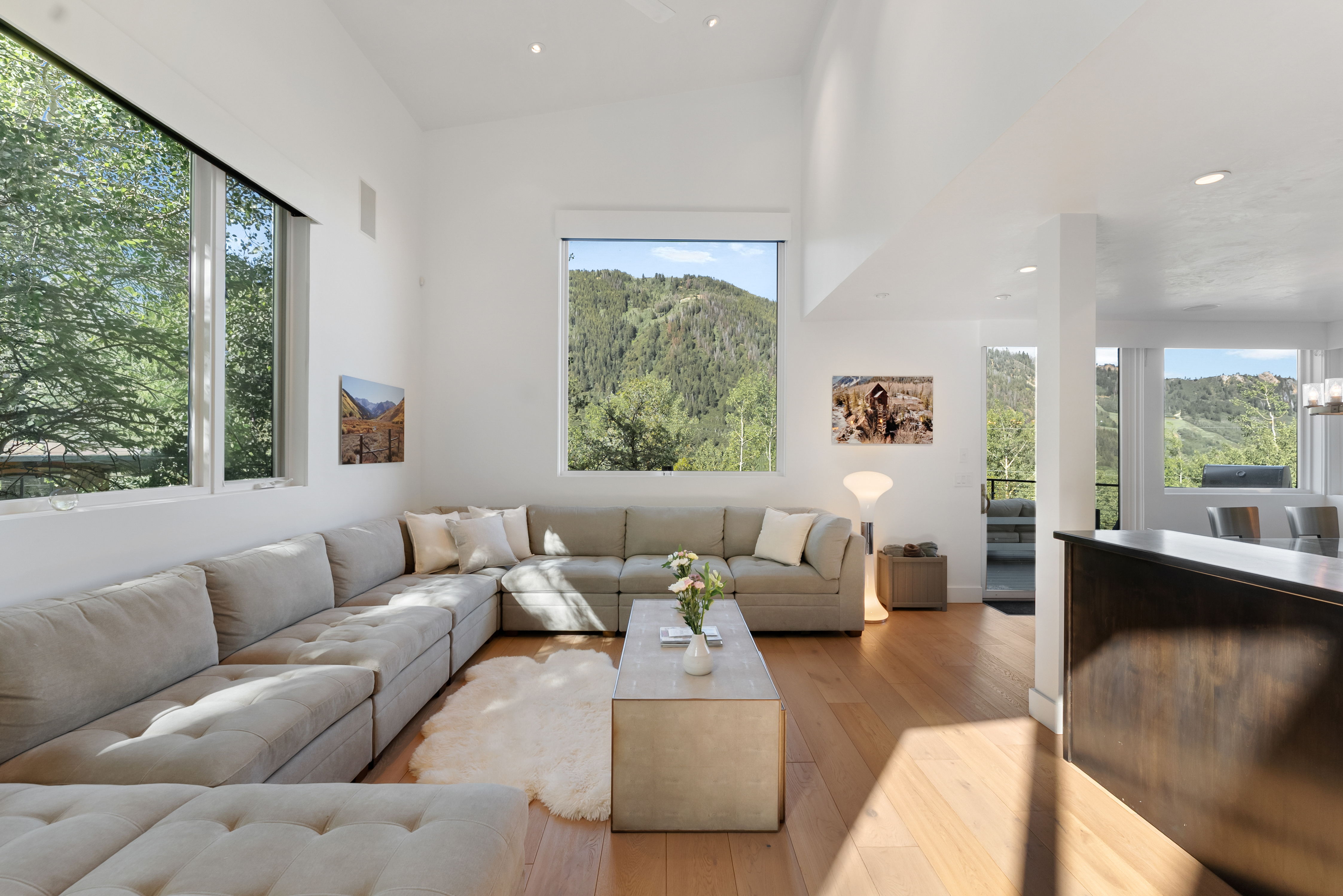  257 Mountain Laurel Drive, Aspen, CO, 81611 - 物件實景