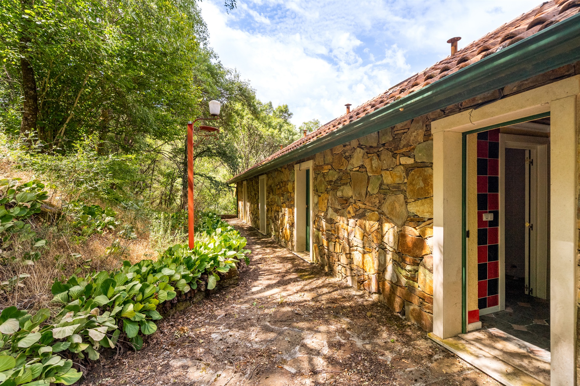  Farm, 5 bedrooms, for Sale - 物件實景