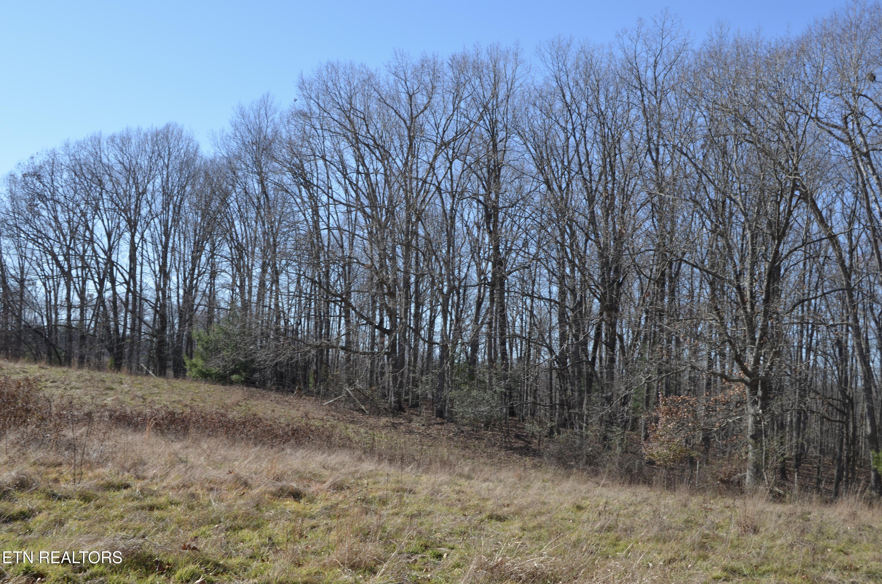 Crossville, Tennessee, 38555, United States, ,Land,For Sale,1978266