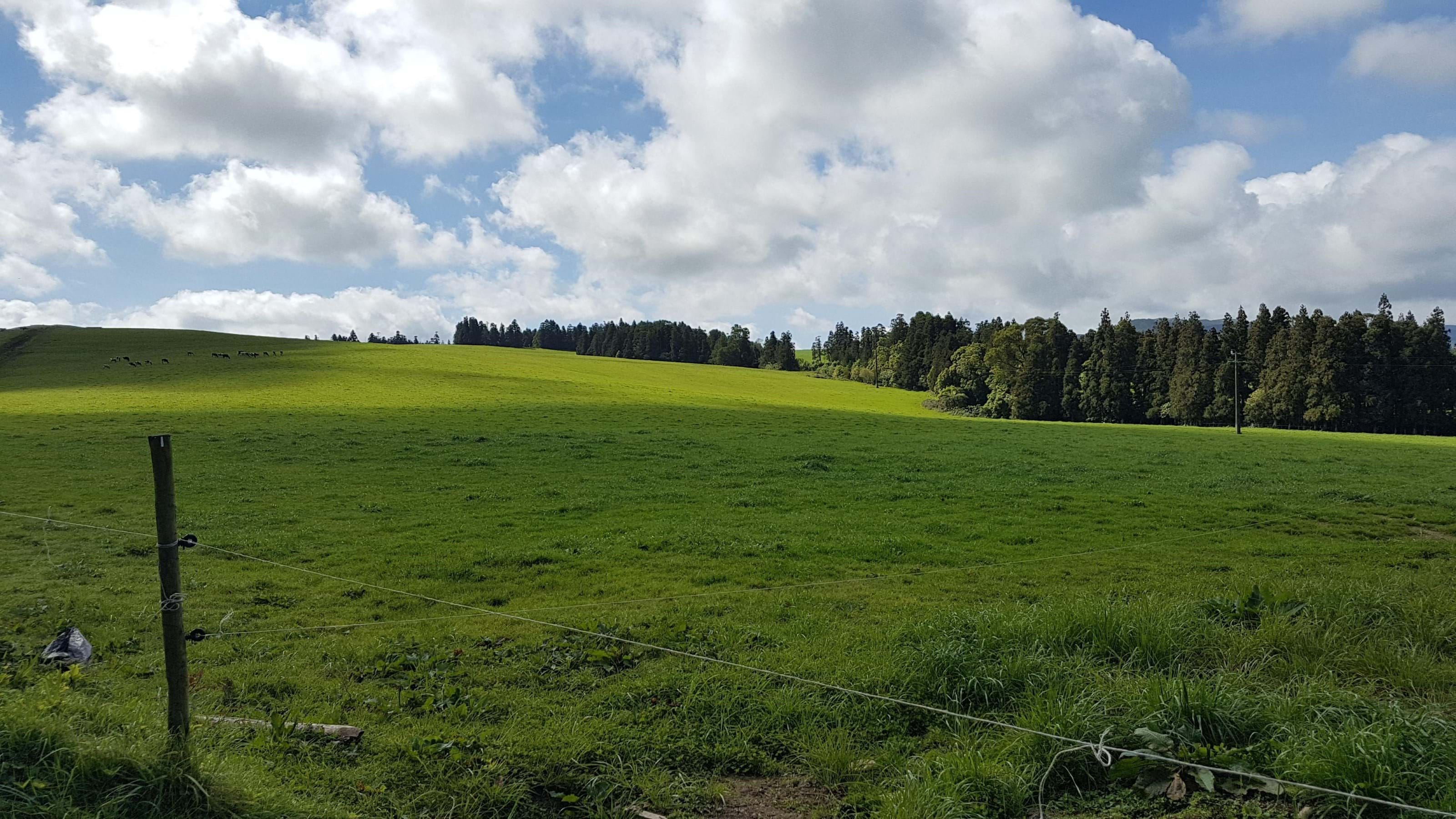 Ribeira Grande, Ilha de São Miguel, 9600, PT, ,Land,For Sale,1699985