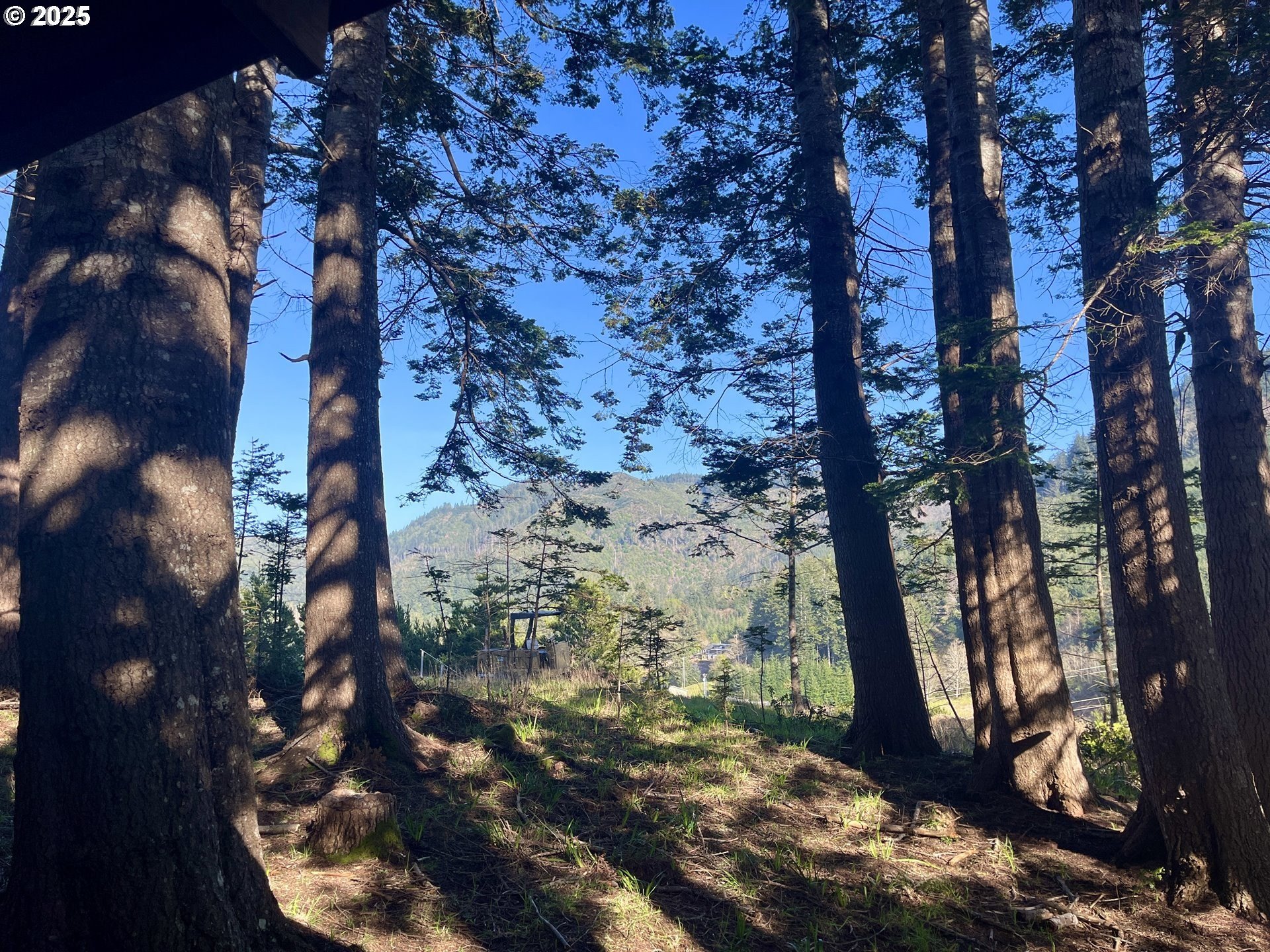 Gold Beach, Oregon, 97444, United States, 3 Bedrooms Bedrooms, ,3 BathroomsBathrooms,Residential,For Sale,1977644