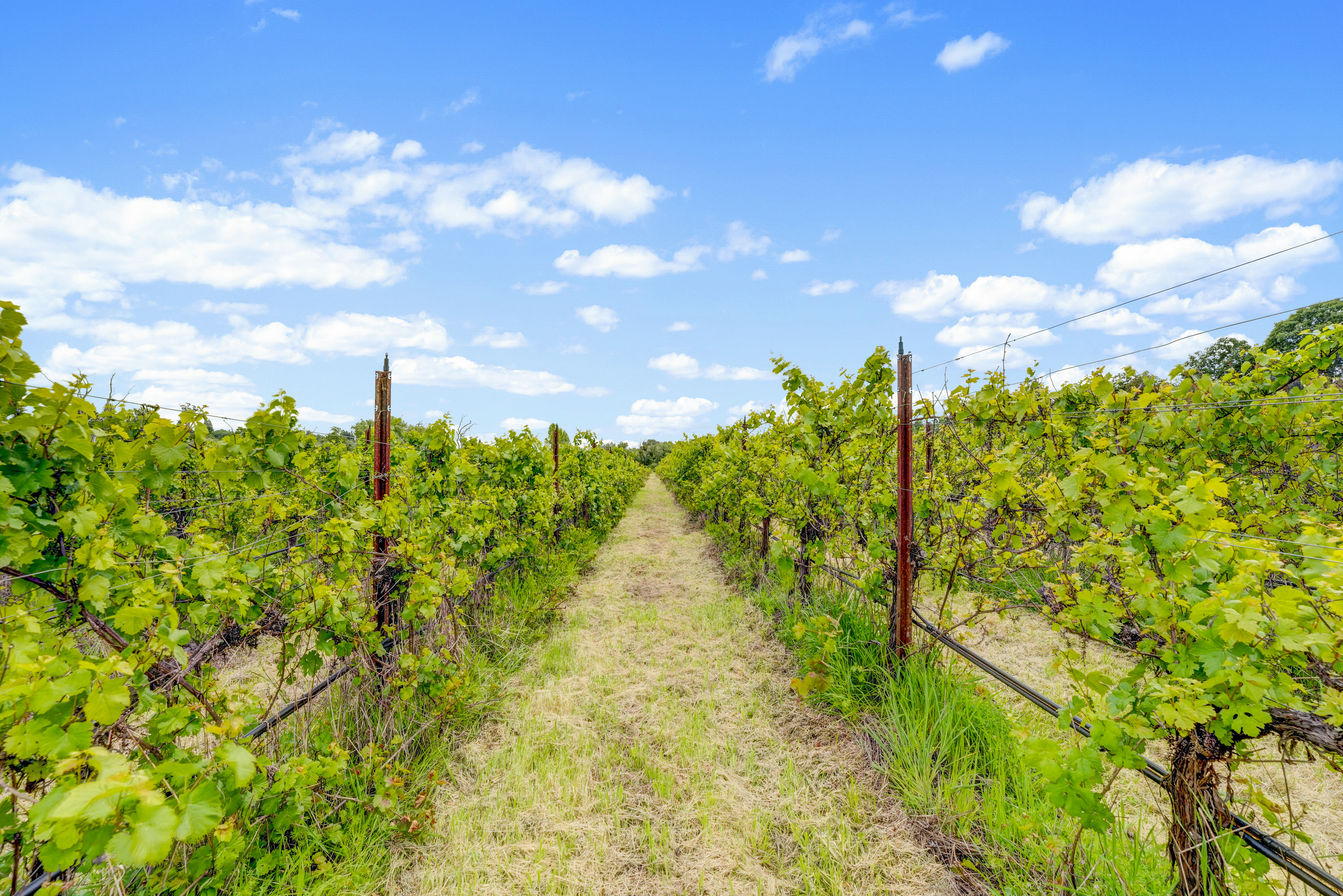  9700 Mill Station Road, Sebastopol, CA 95472 - 物件實景
