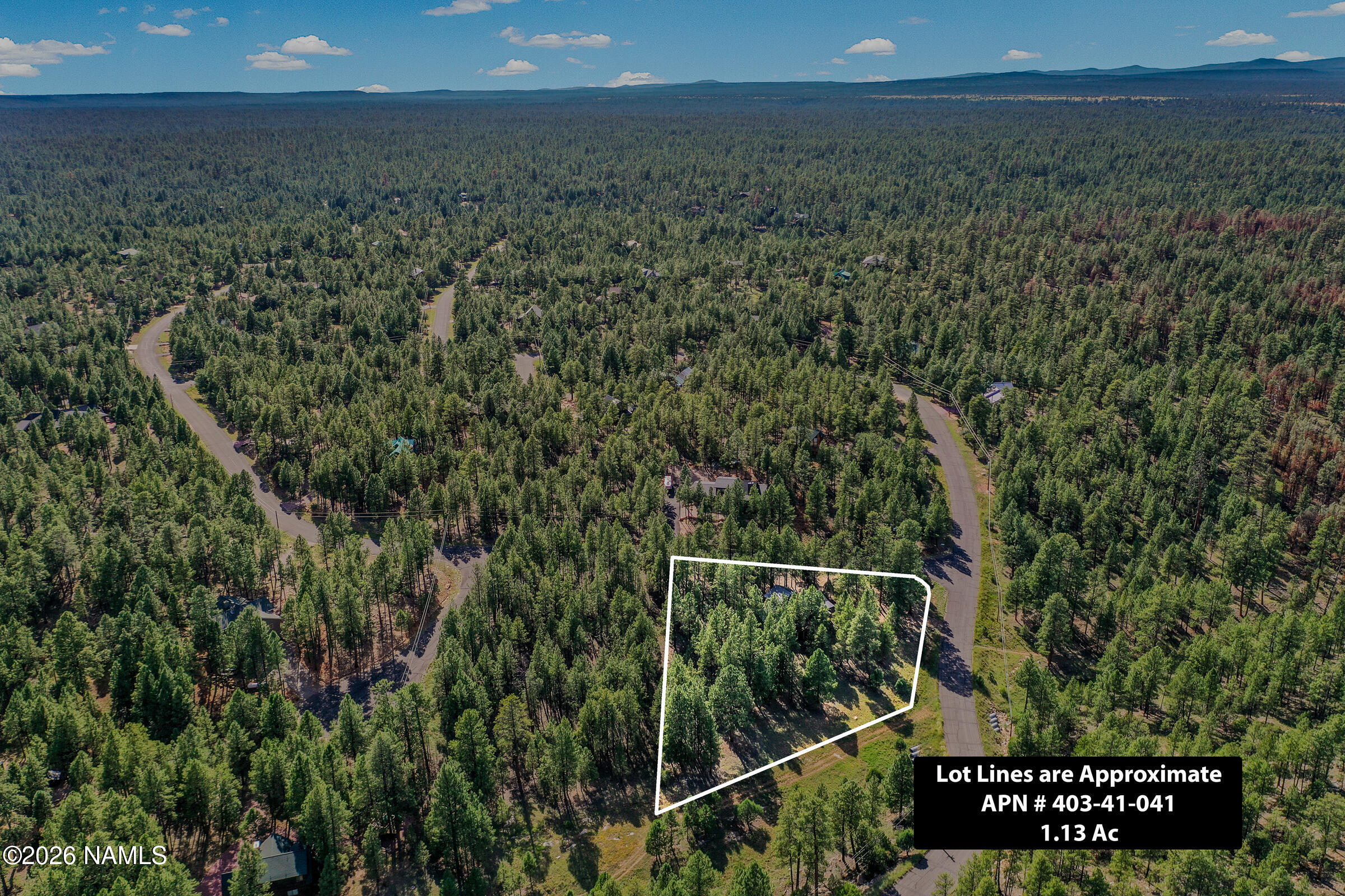  3579 Starlight Drive, Happy Jack, AZ 86024 - 物件實景