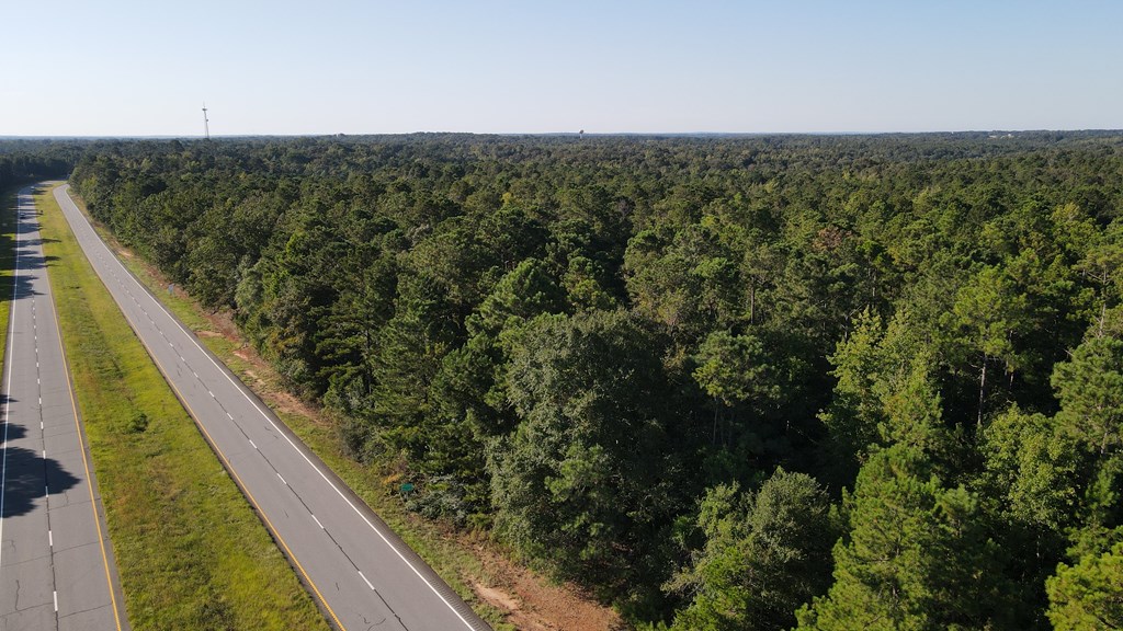 Richland, Georgia, 31825, United States, ,Residential,For Sale,1947054
