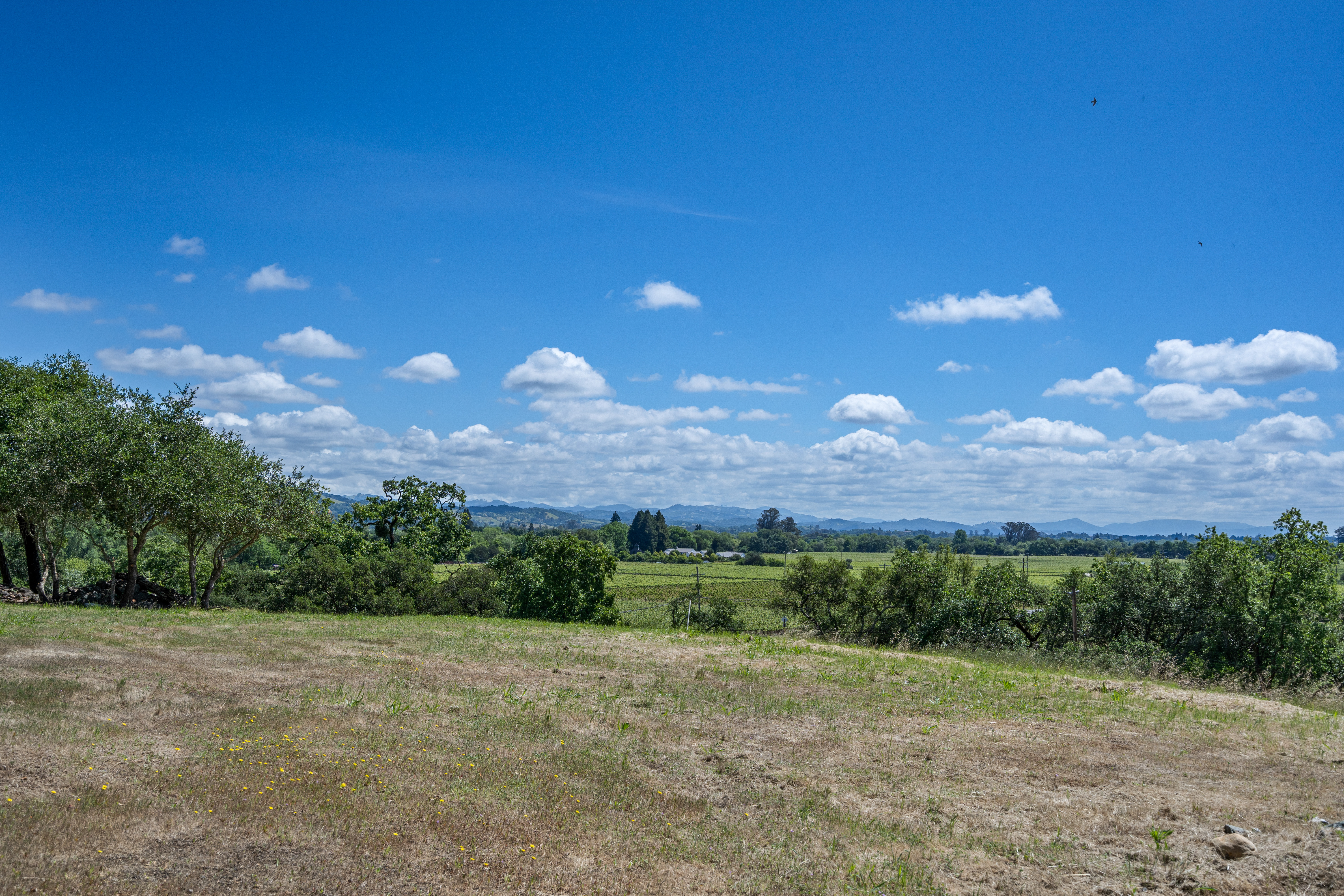  1077 Westside Road, Healdsburg, CA 95448 - 物件實景