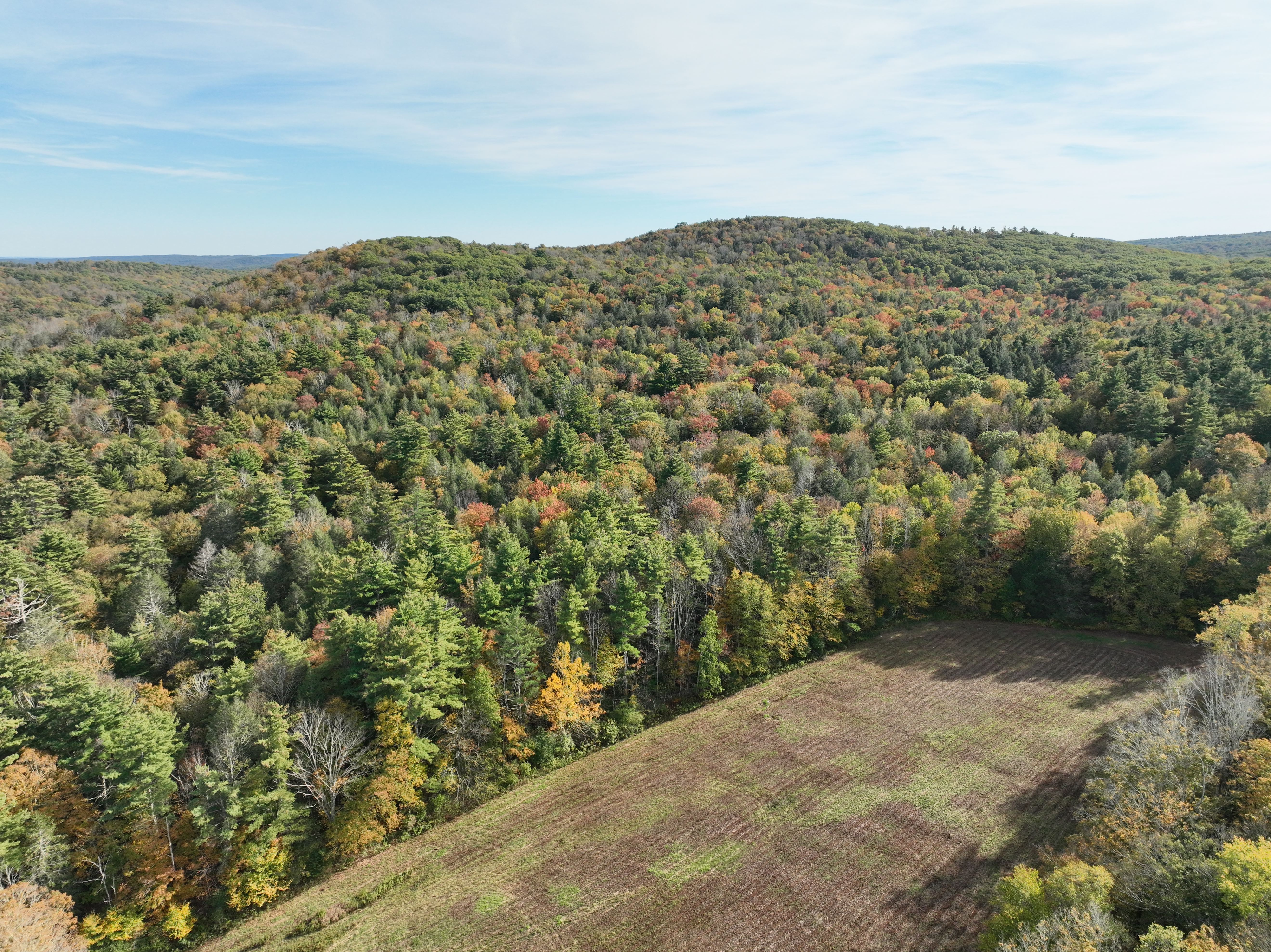  000000 Norfolk Road - 物件實景