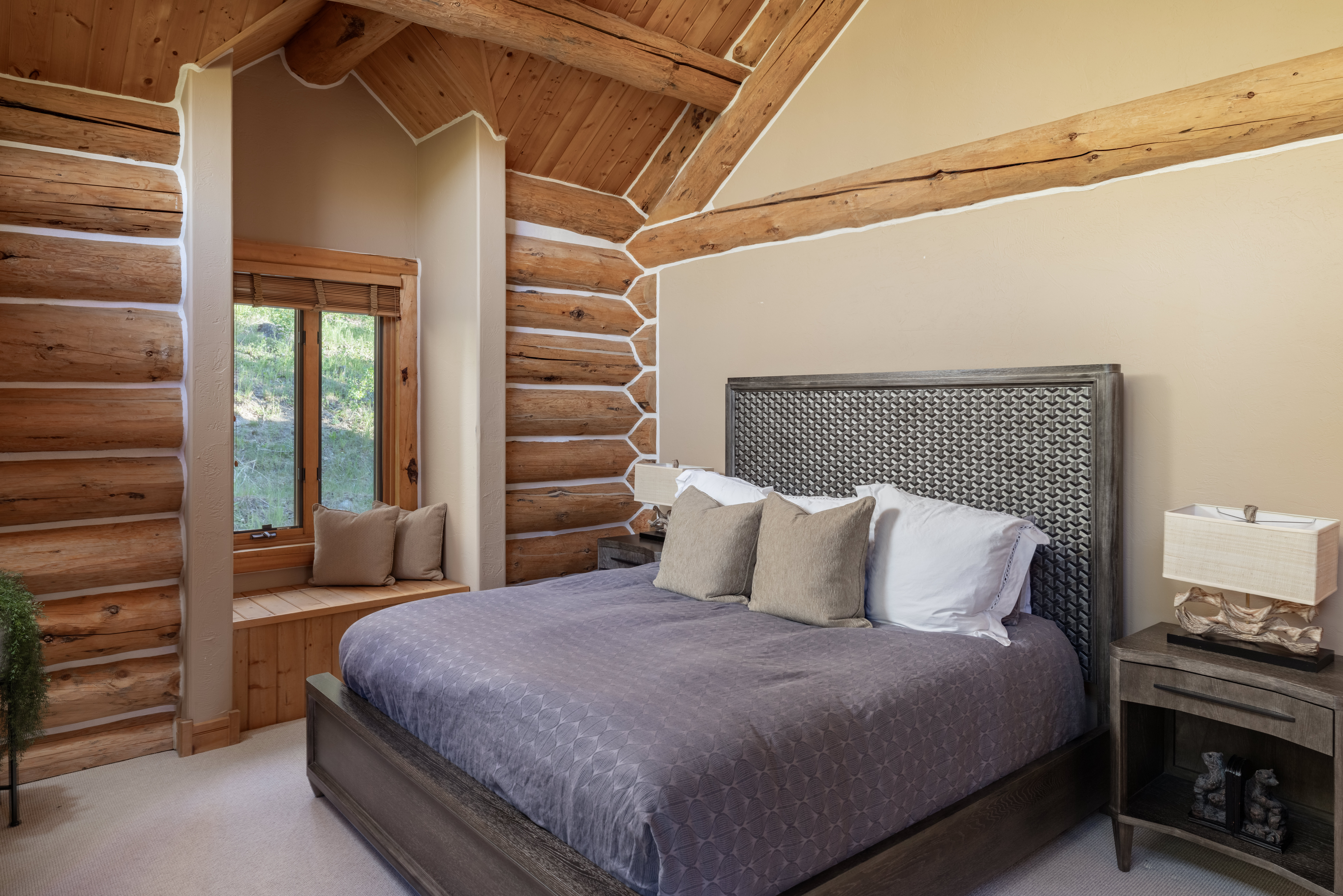  Private Telluride Retreat in Mountain Village - 物件實景