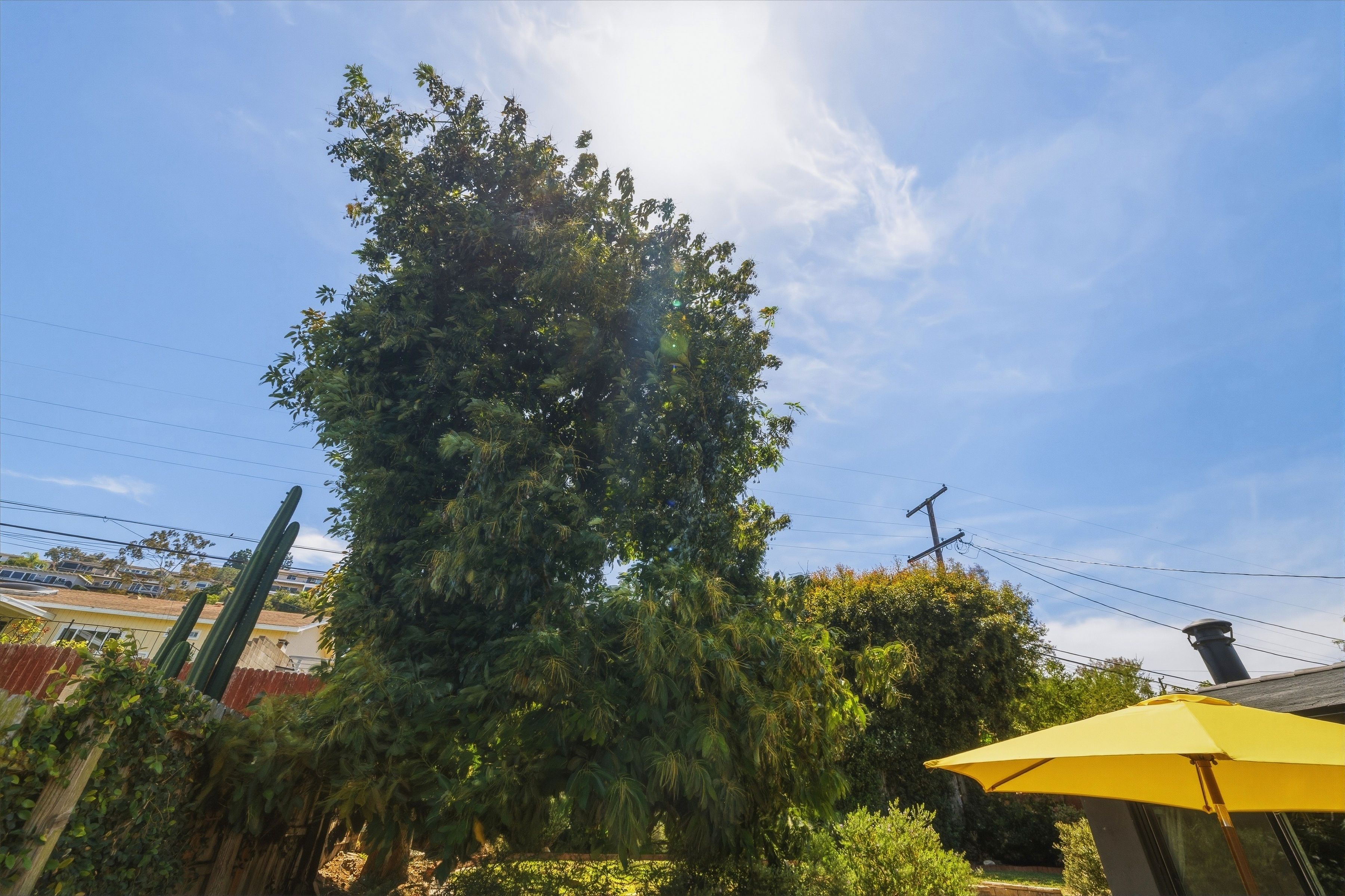  4068 Newton Street, Torrance, CA 90505 - 物件實景