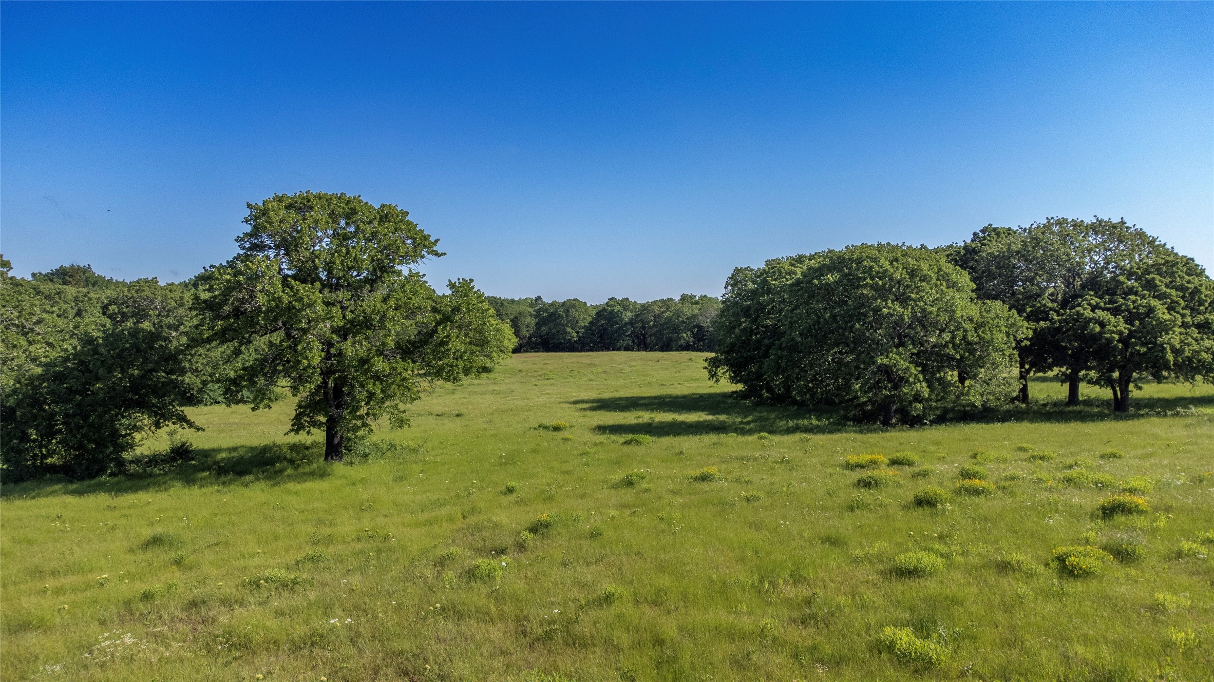 Sadler, Texas, 76264, United States, ,Land,For Sale,1837426
