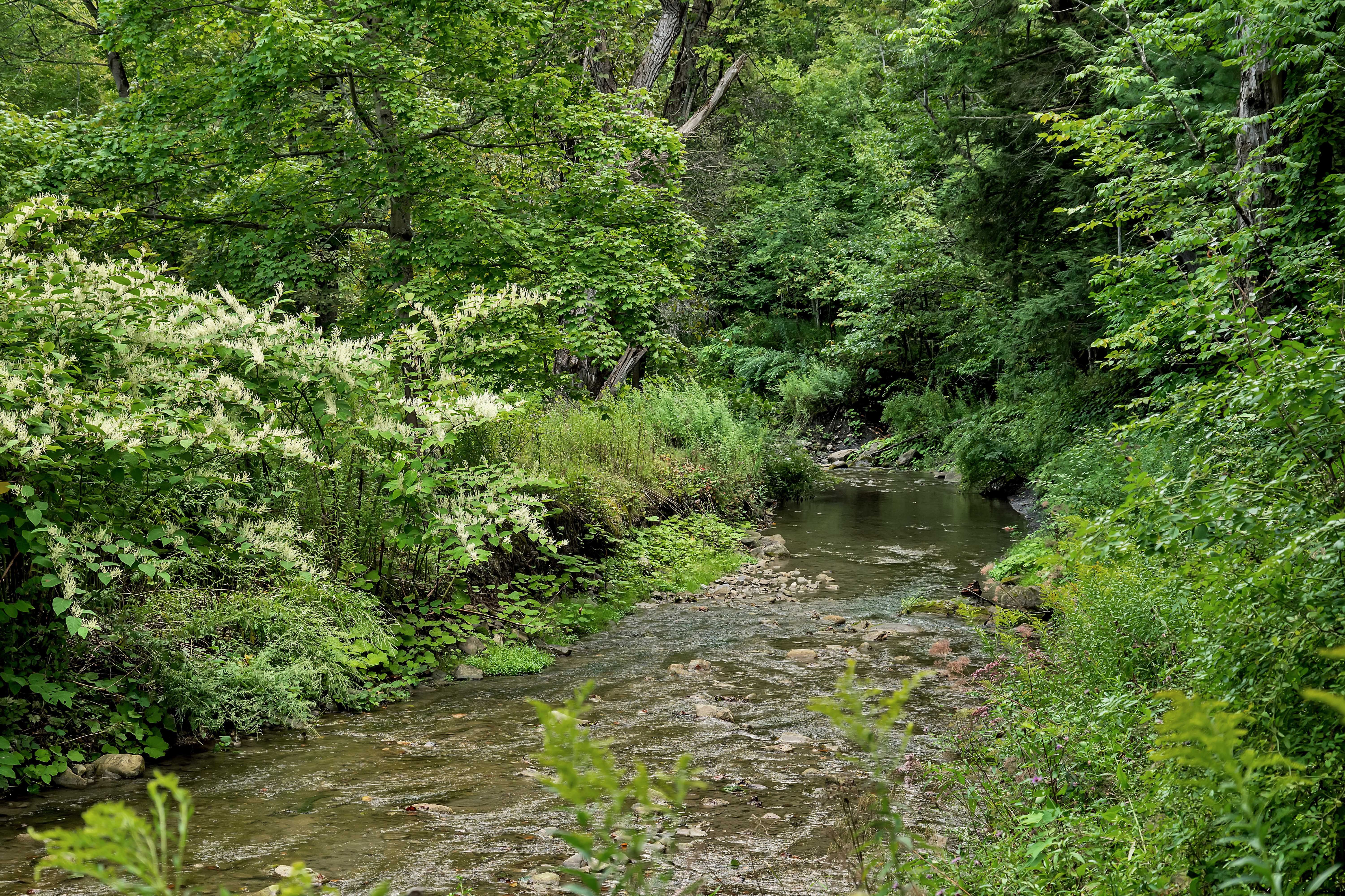  2786 New York 80, Fort Plain, NY 13339 - 物件實景