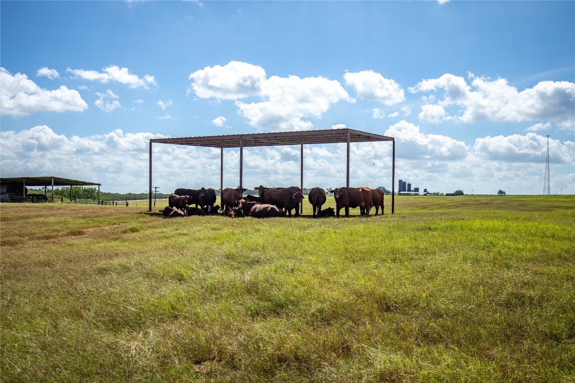 Kenedy, Texas, 78119, United States, ,Residential,For Sale,1967752