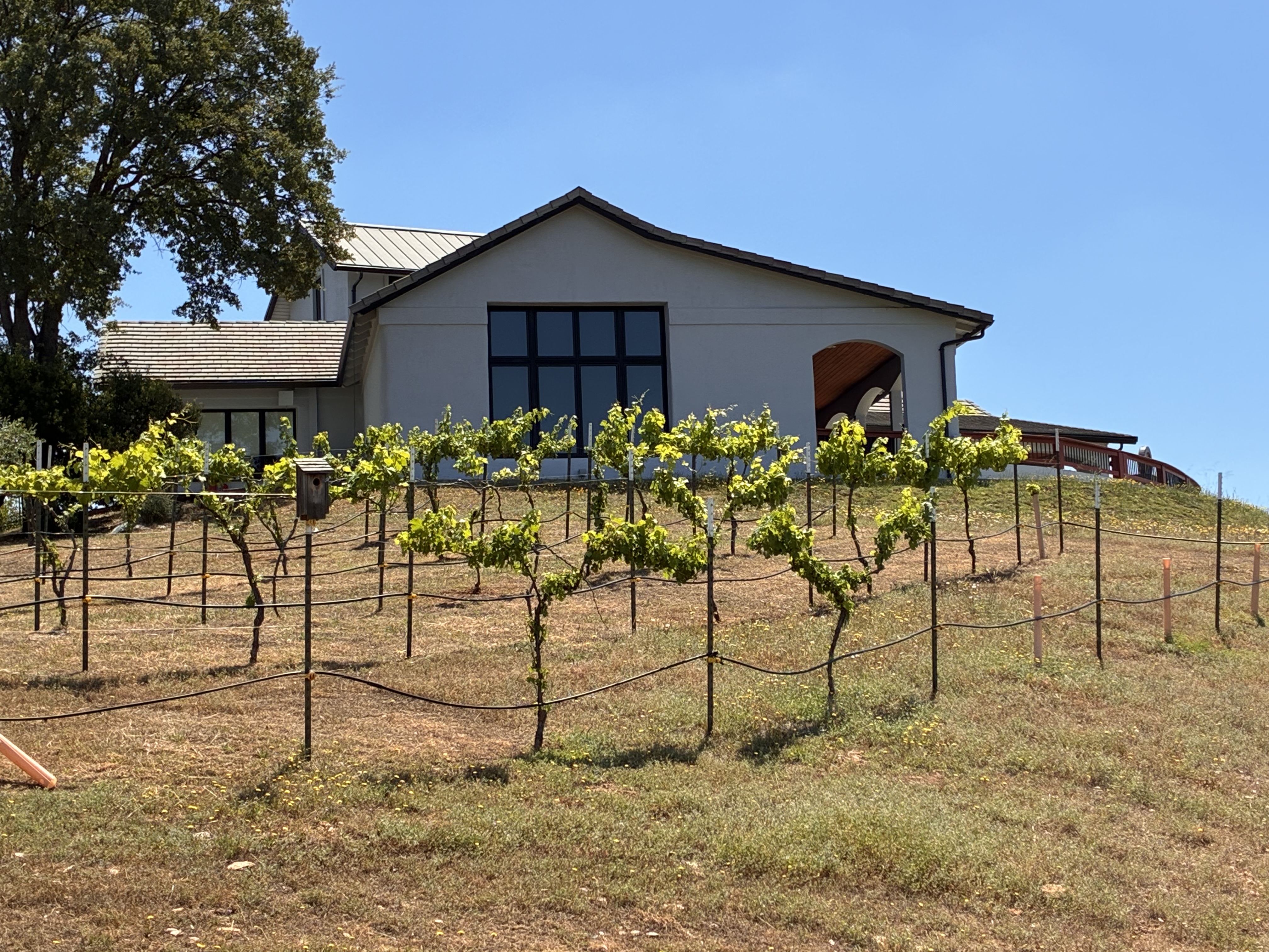  15070 Willow Creek Road, Plymouth, CA 95669 - 物件實景