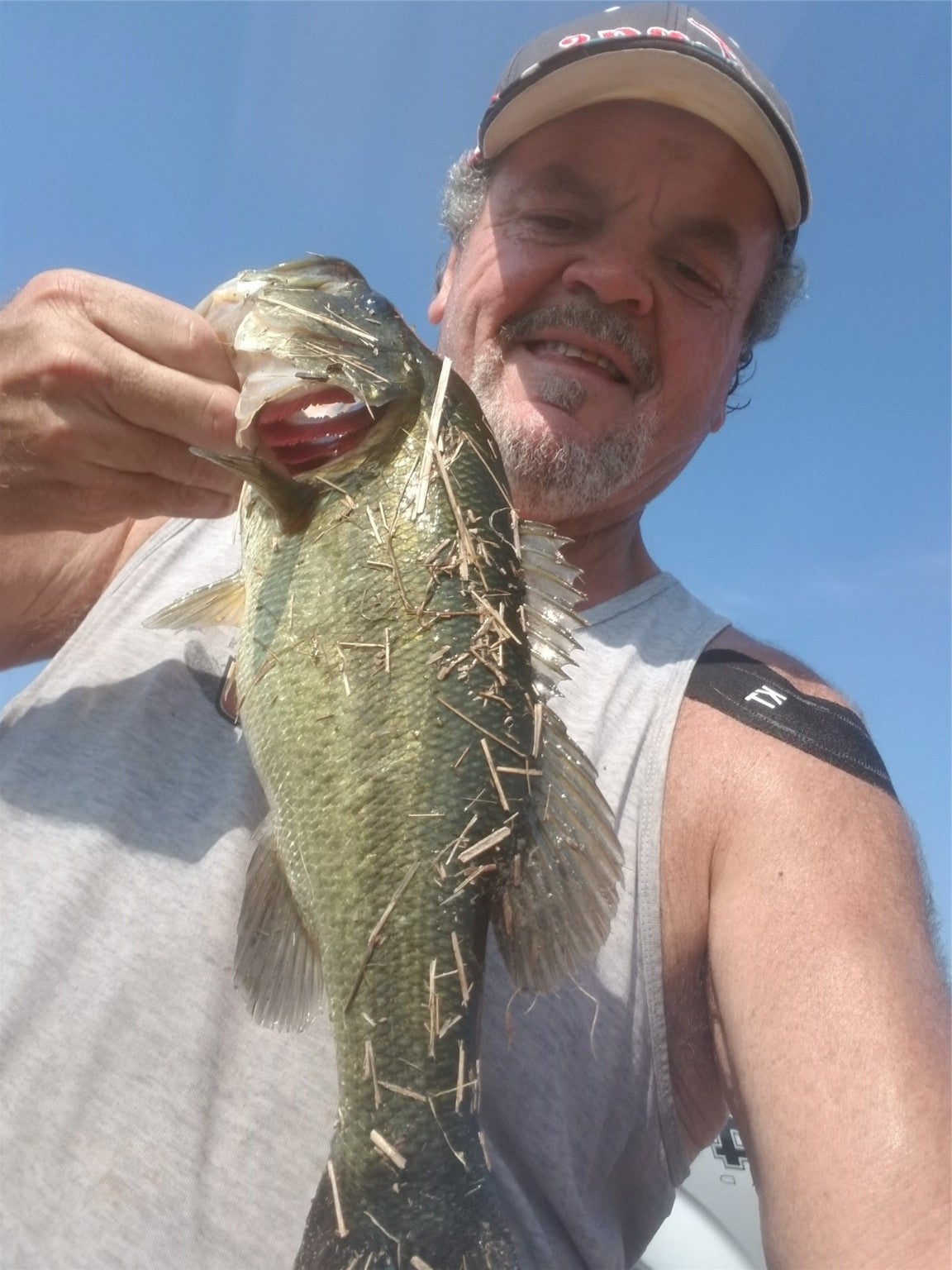 Streetman, Texas, 75859, United States, ,Land,For Sale,1979962