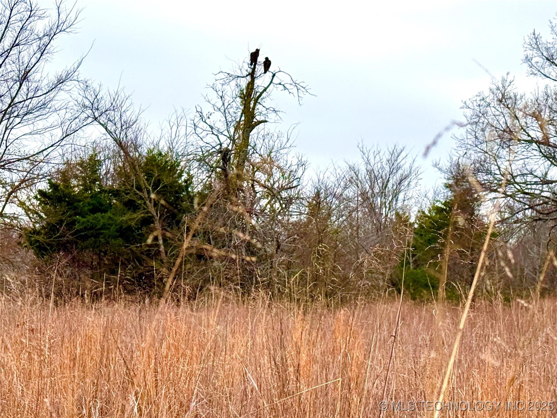 Fort Gibson, Oklahoma, 74434, United States, ,Residential,For Sale,2006417