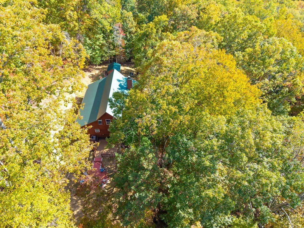 Blairsville, Georgia, 30512, United States, 3 Bedrooms Bedrooms, ,3 BathroomsBathrooms,Residential,For Sale,1979899