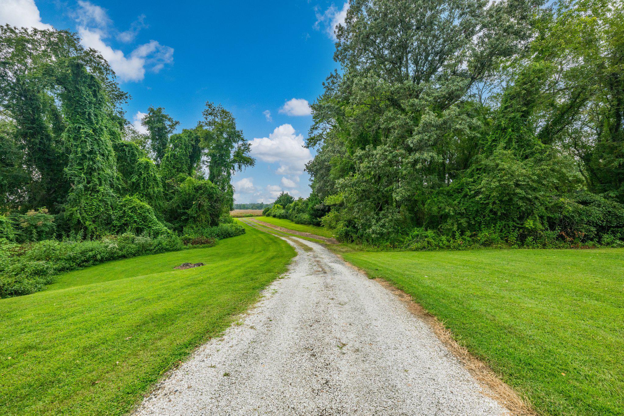  491 Wye Island Road, Queenstown, MD, 21658 - 物件實景