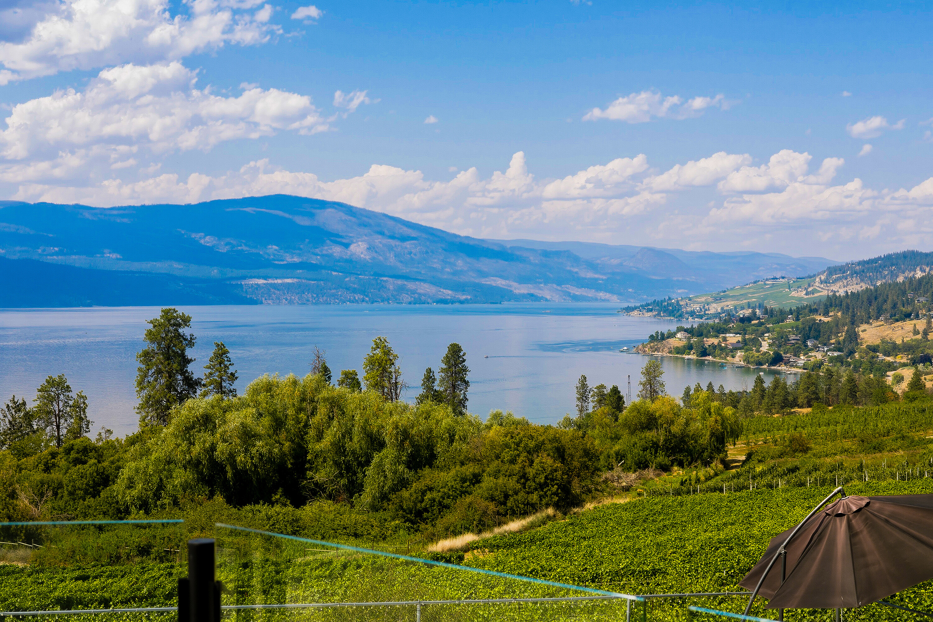  Scenic Vineyard Home - 物件實景
