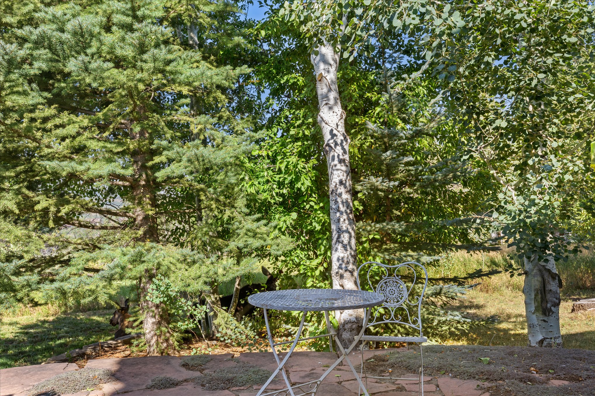  345 Steamboat Boulevard, Steamboat Springs, CO, 80487 - 物件實景