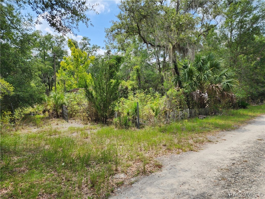 Ginny Lane Pt, Inglis, FL 34449 #1