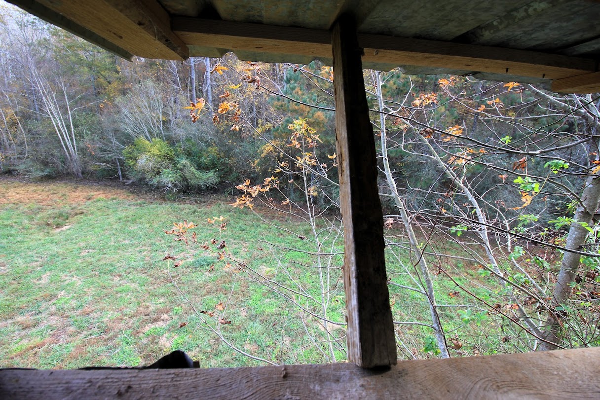 Bowdon, Georgia, 30108, United States, ,Land,For Sale,1989904