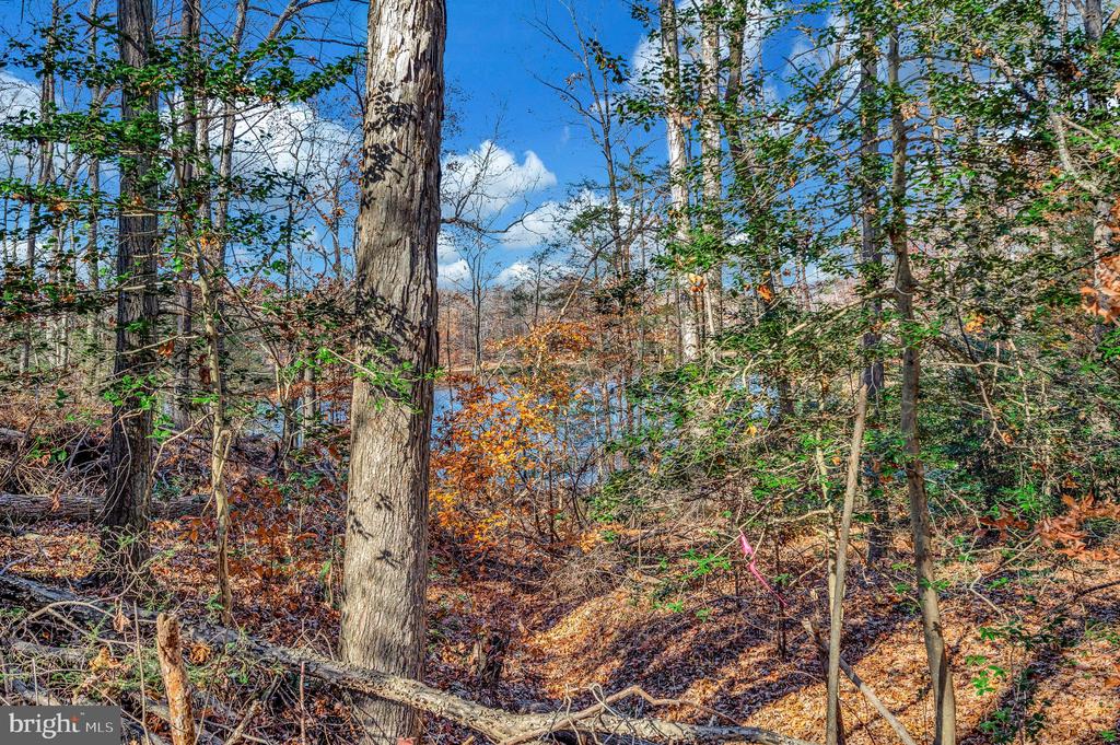 Fredericksburg, Virginia, 22406, United States, 5 Bedrooms Bedrooms, ,6 BathroomsBathrooms,Residential,For Sale,1981857