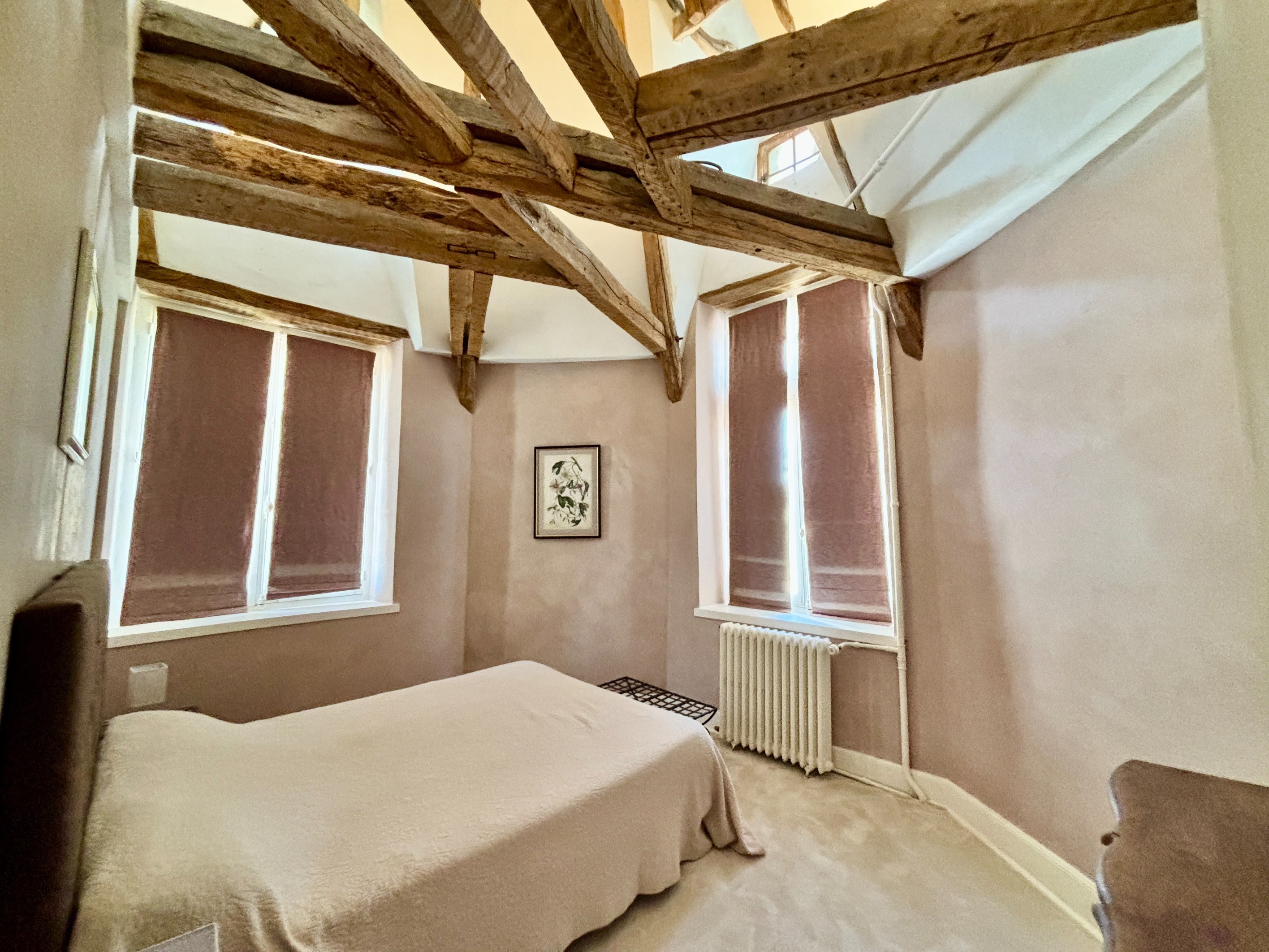  A charming Castle located at 15 minutes from Loches - 物件實景