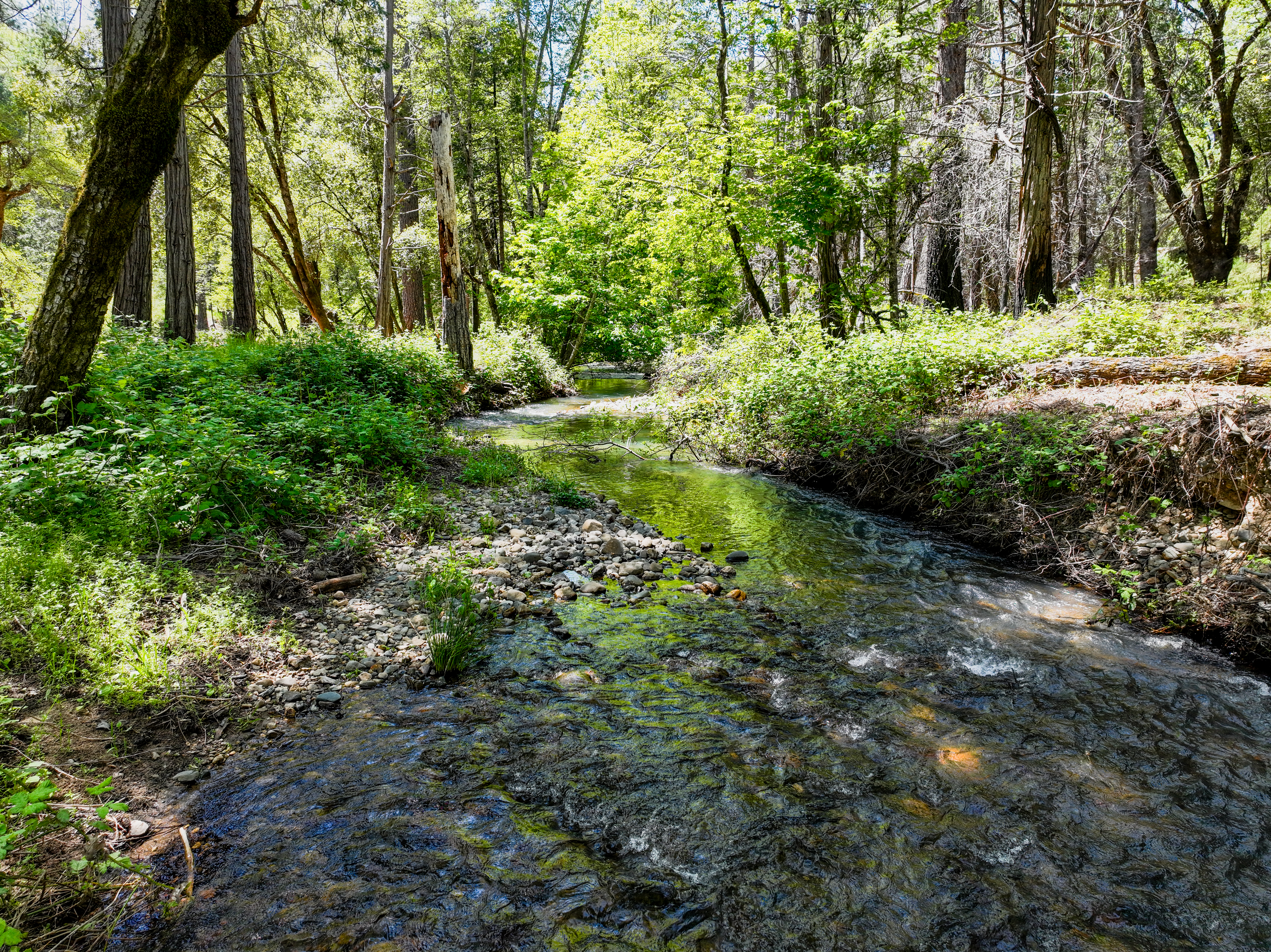  20493 Rector Road, Nevada City, CA 95959 - 物件實景