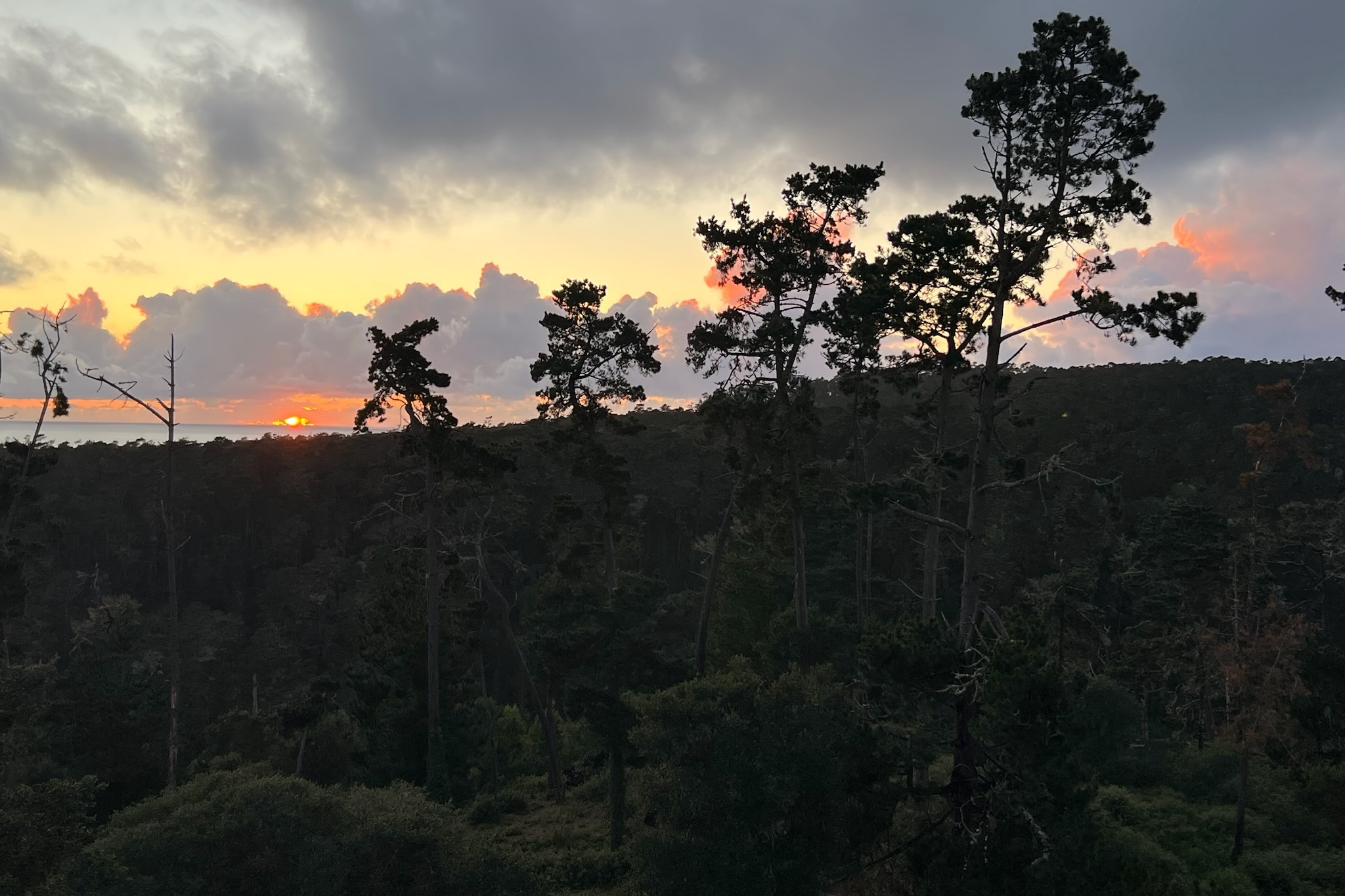  24312 San Juan Road - 物件實景