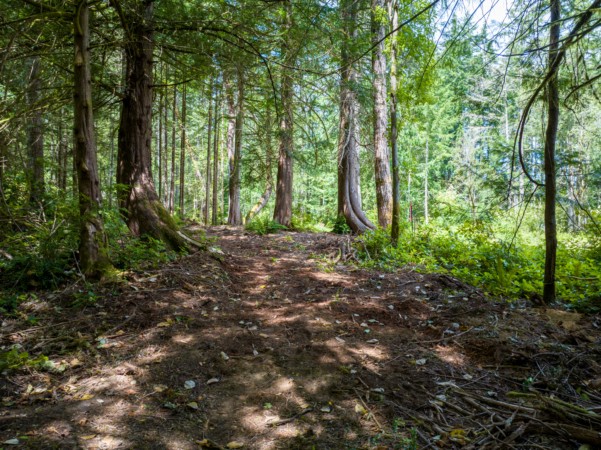  Lot B Bucsit Lane Northeast, Bainbridge Island, WA 98110 - 物件實景