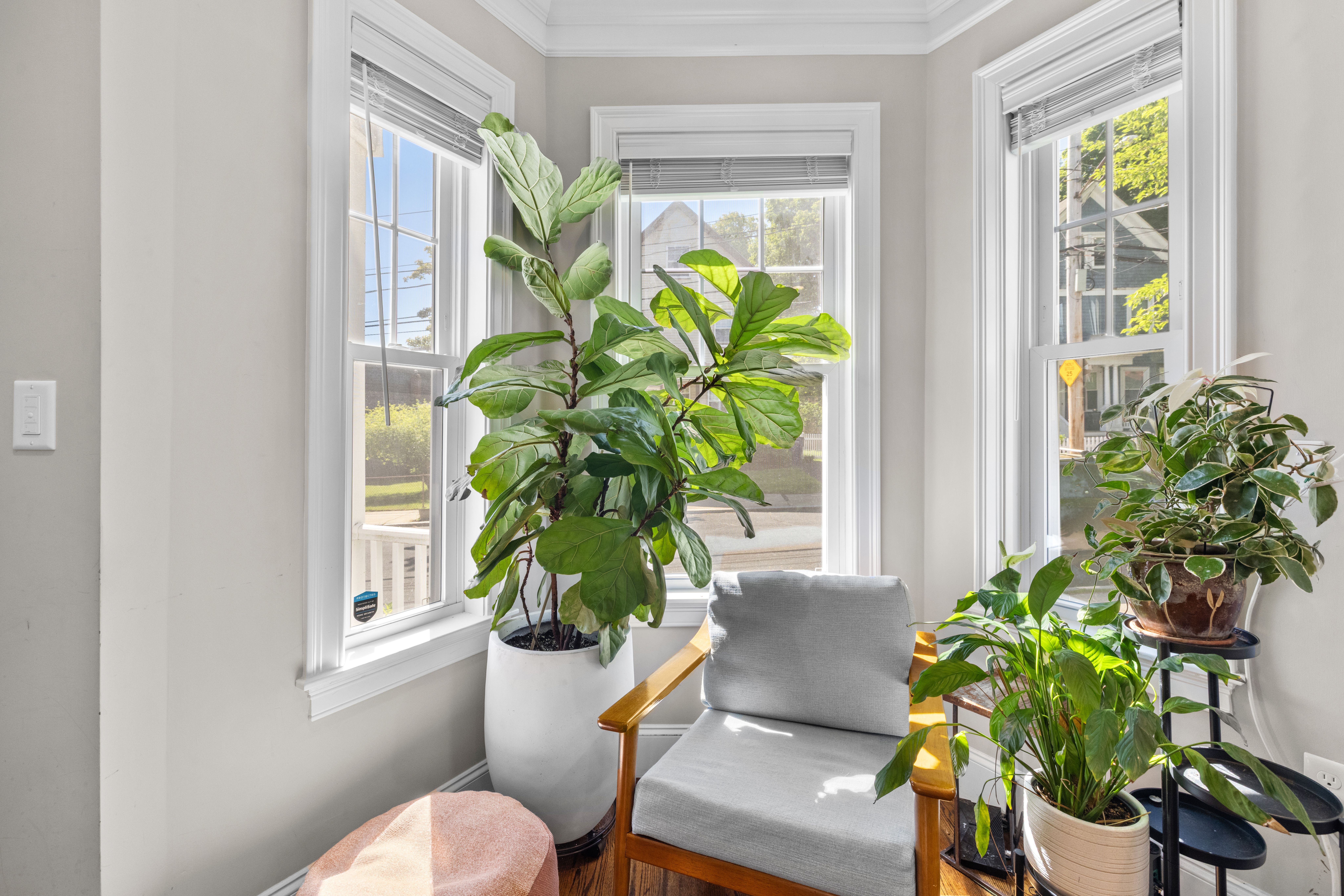  43 Cliftondale Street Unit 1, Boston, MA, 02131 - 物件實景