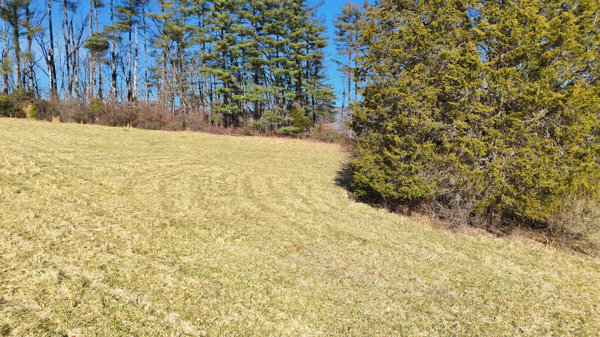 Middlesboro, Kentucky, 40965, United States, 3 Bedrooms Bedrooms, ,2 BathroomsBathrooms,Residential,For Sale,2012565