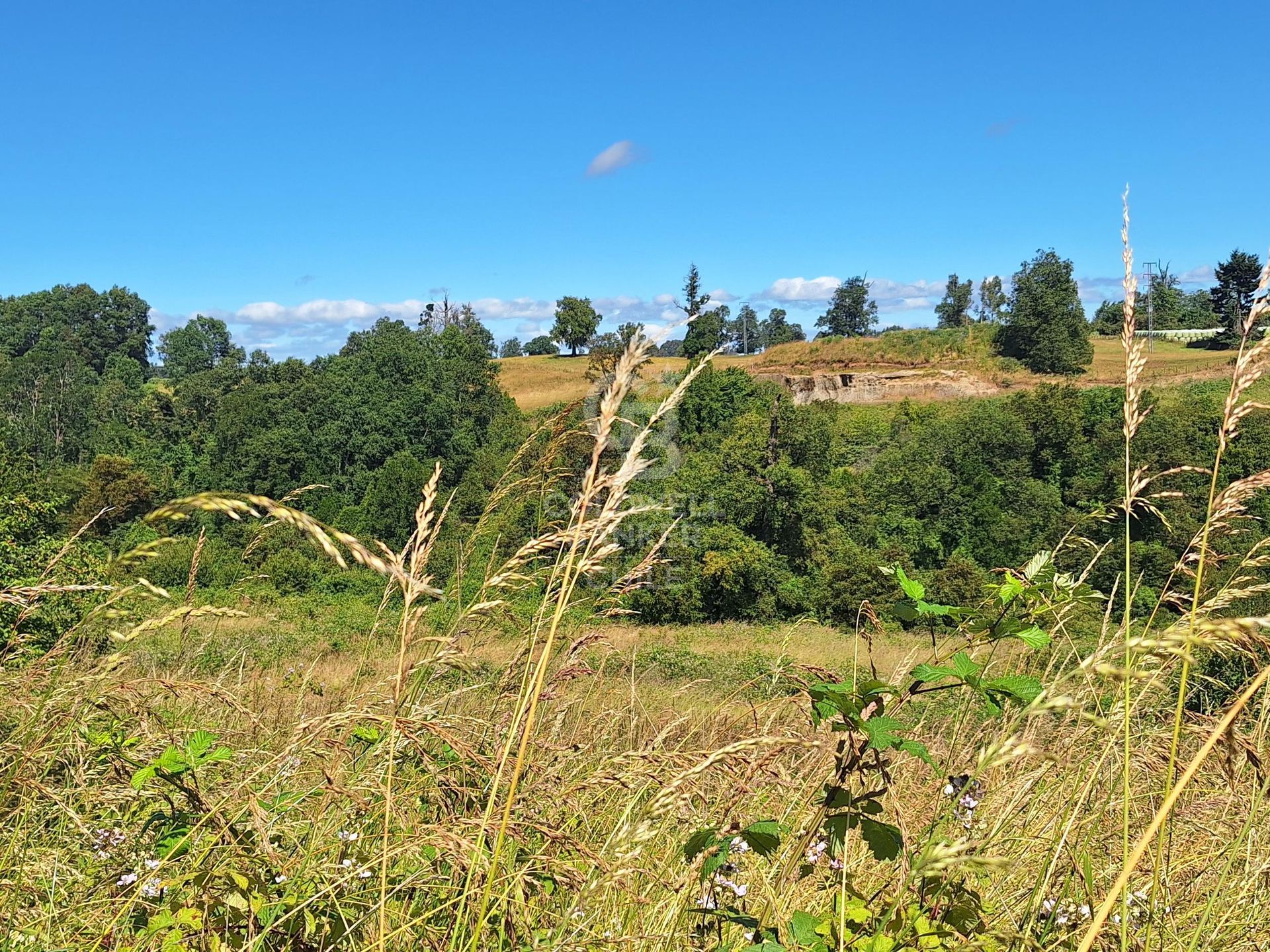 Osorno, Chile, ,Land,For Sale,1972838