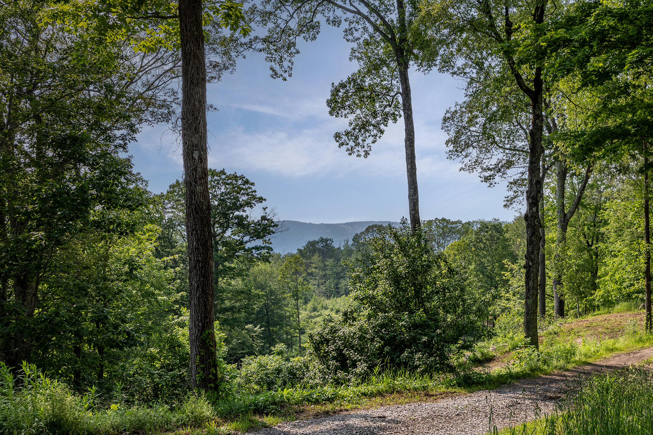  178 Carter Road - 物件實景