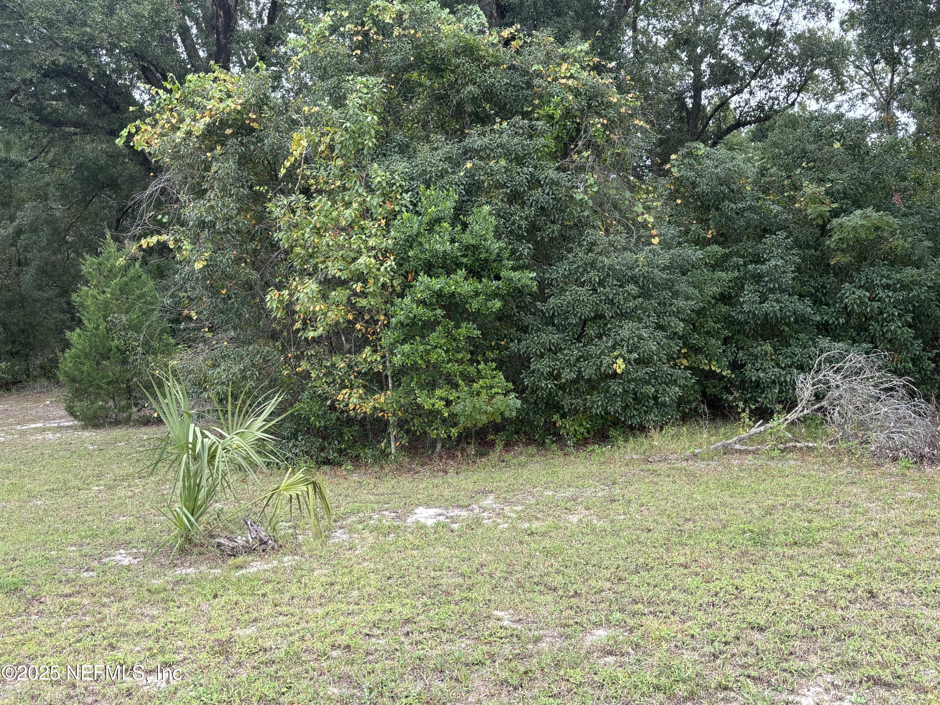 Apopka, Florida, 32712, United States, ,Land,For Sale,2003118