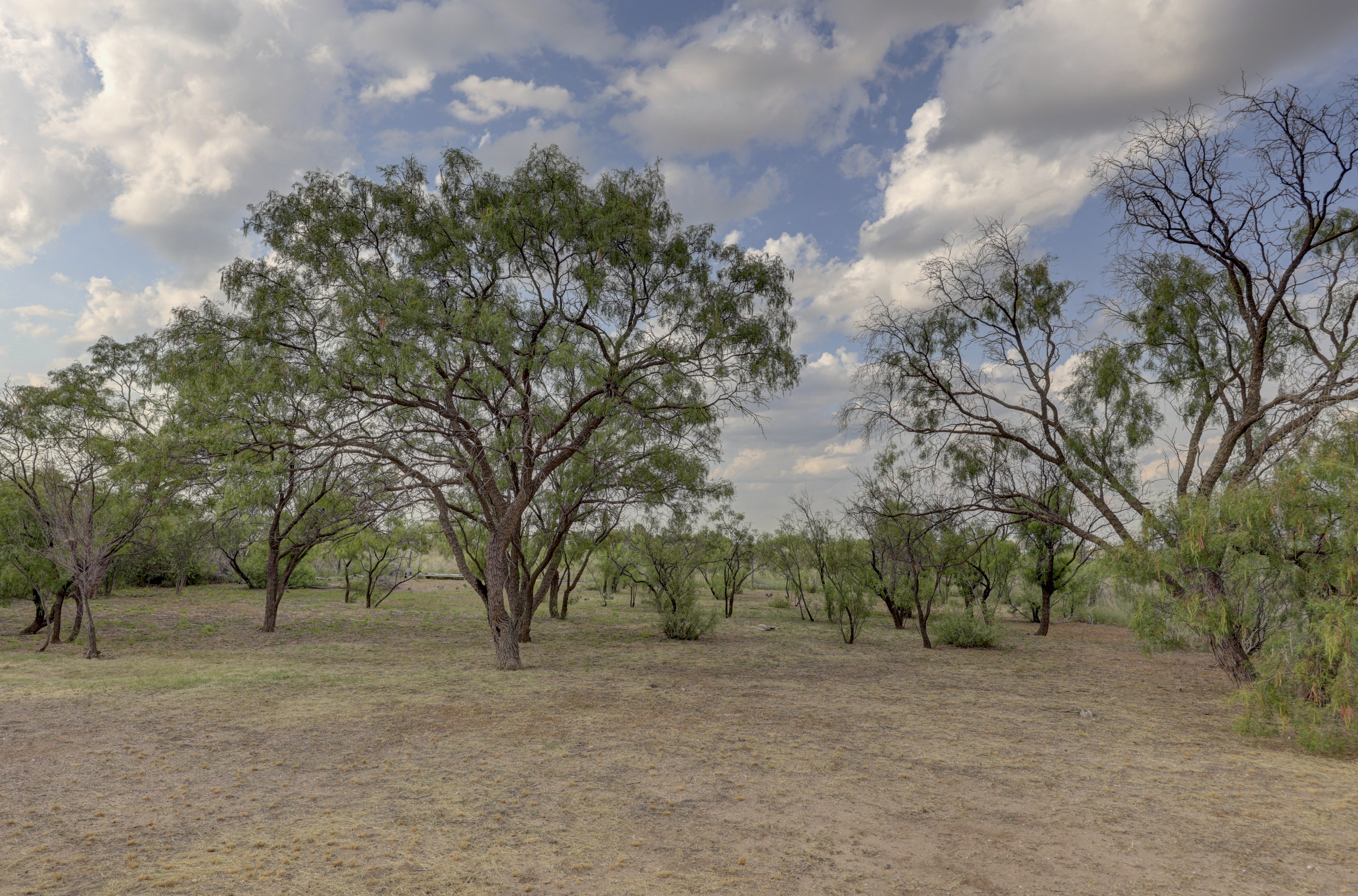  1011 West Washington Street, Marfa, TX 79843 - 物件實景