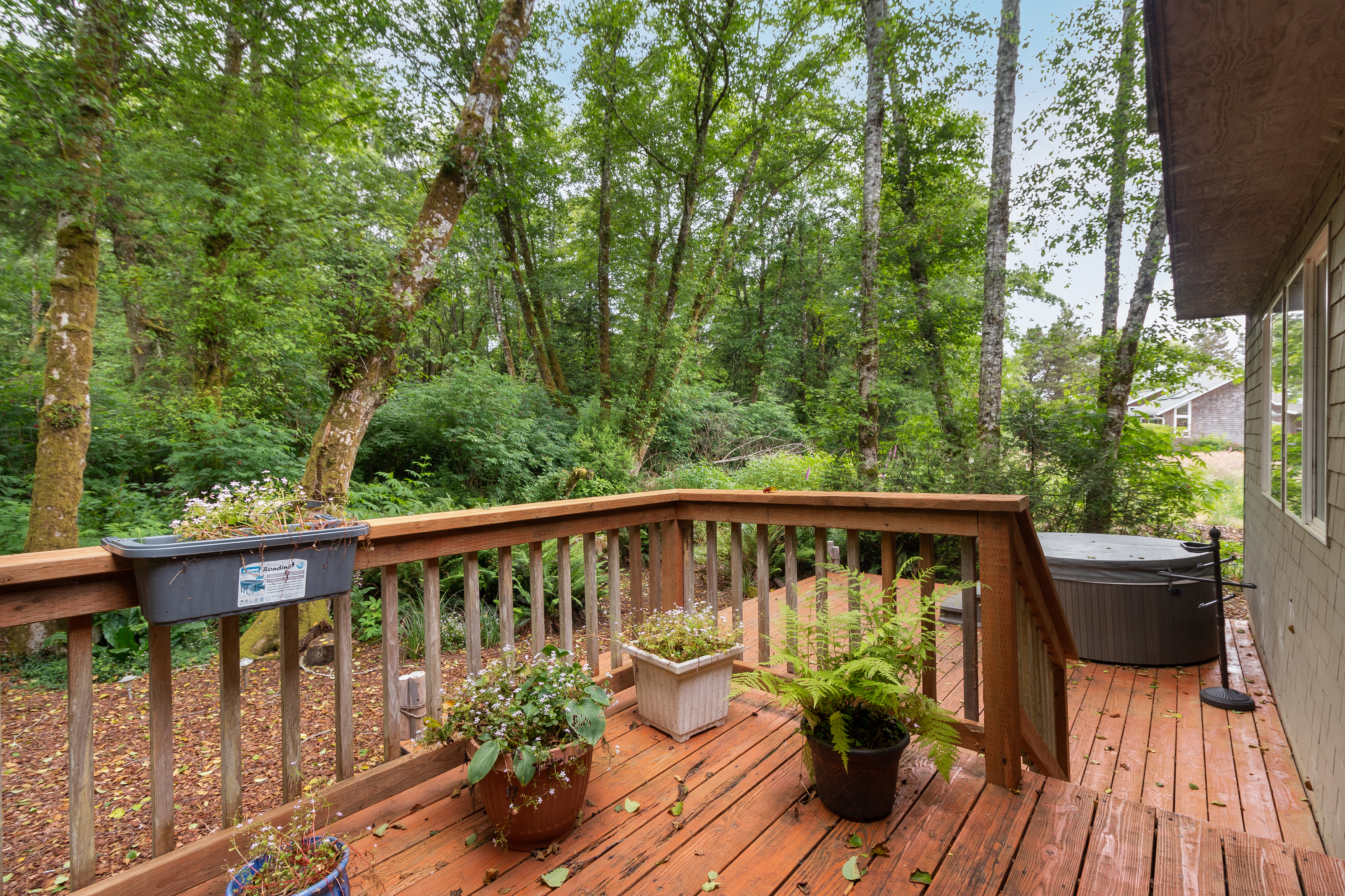 Neskowin, Oregon, 97149, United States, 3 Bedrooms Bedrooms, ,3 BathroomsBathrooms,Residential,For Sale,1927919