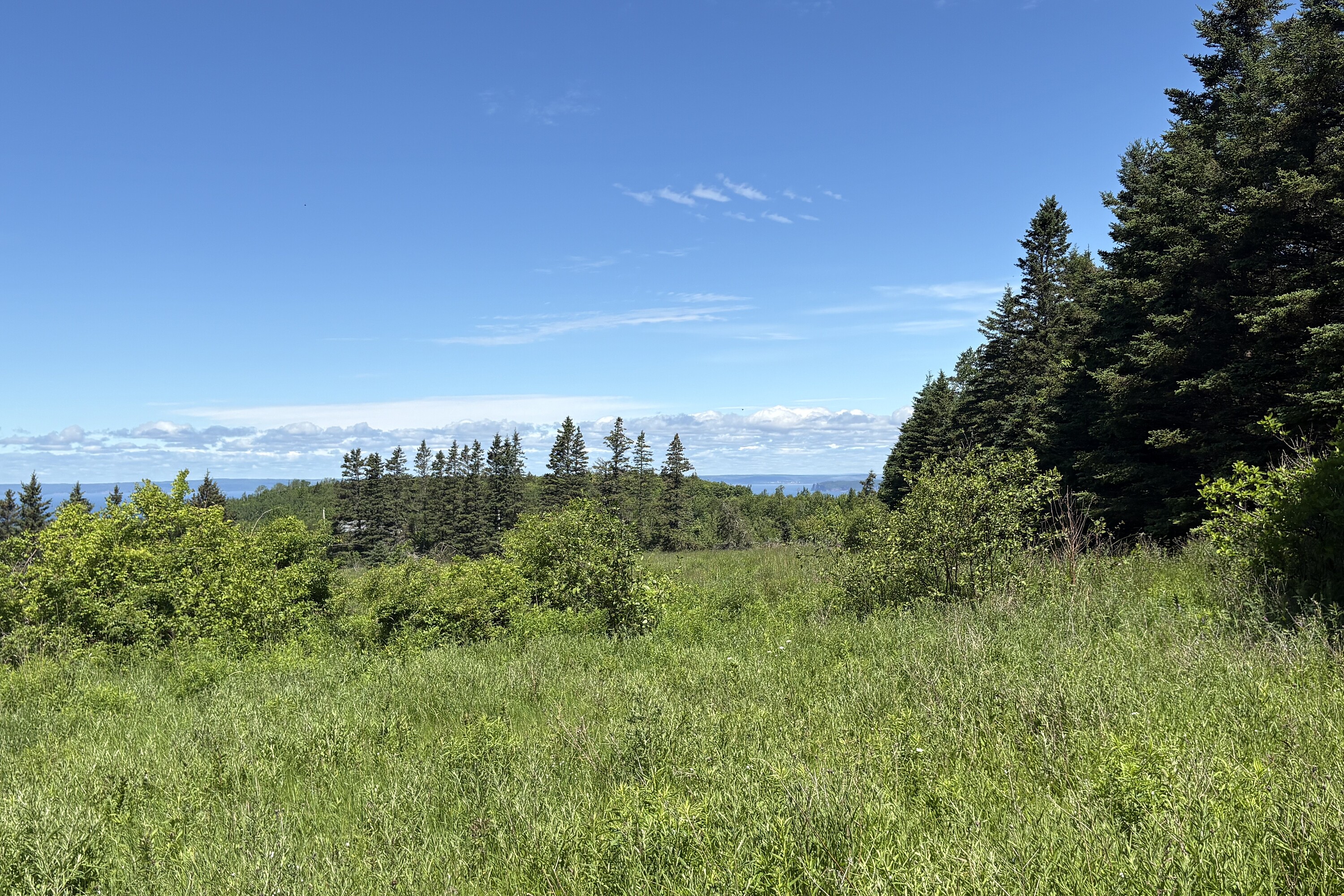  Ross Creek, - 物件實景